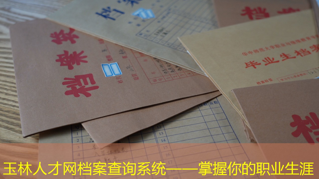 档案查询