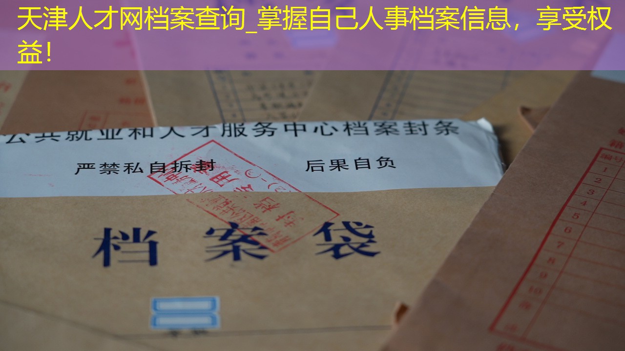 档案查询
