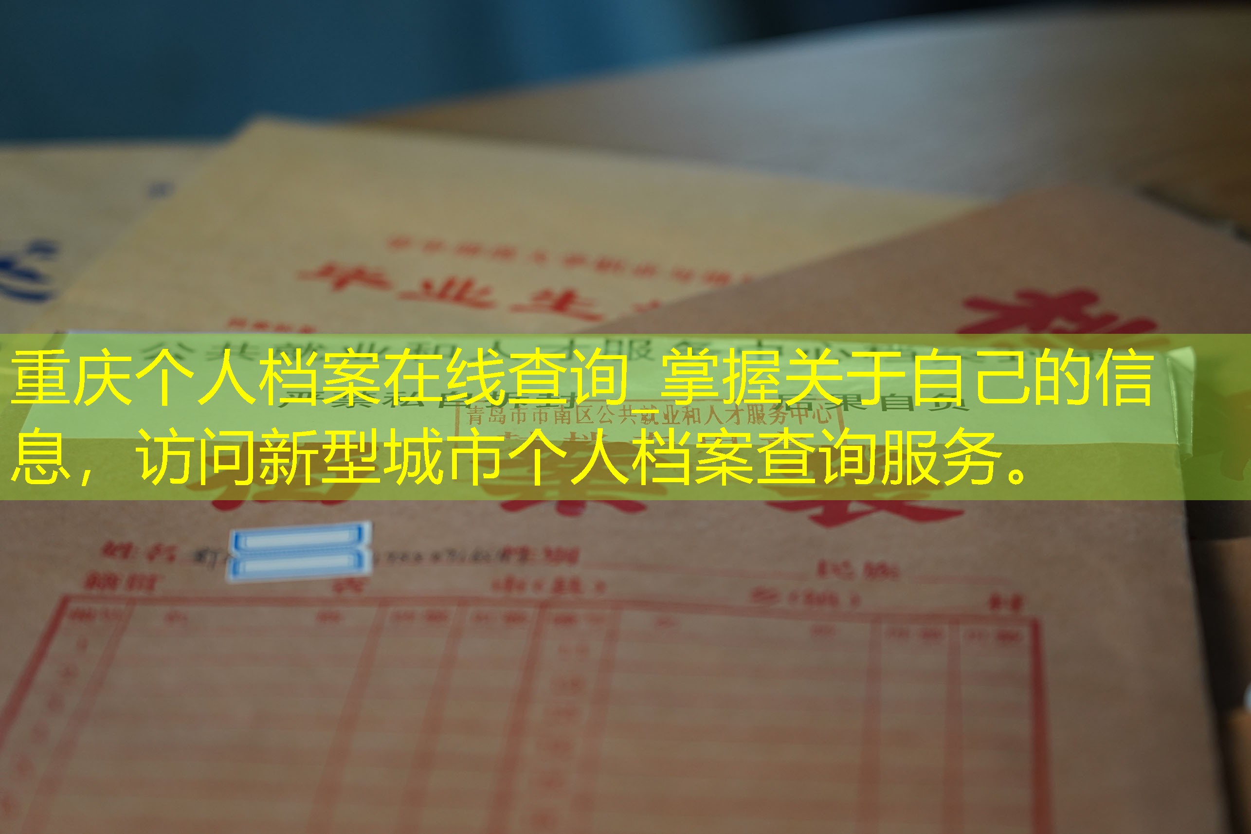 档案查询