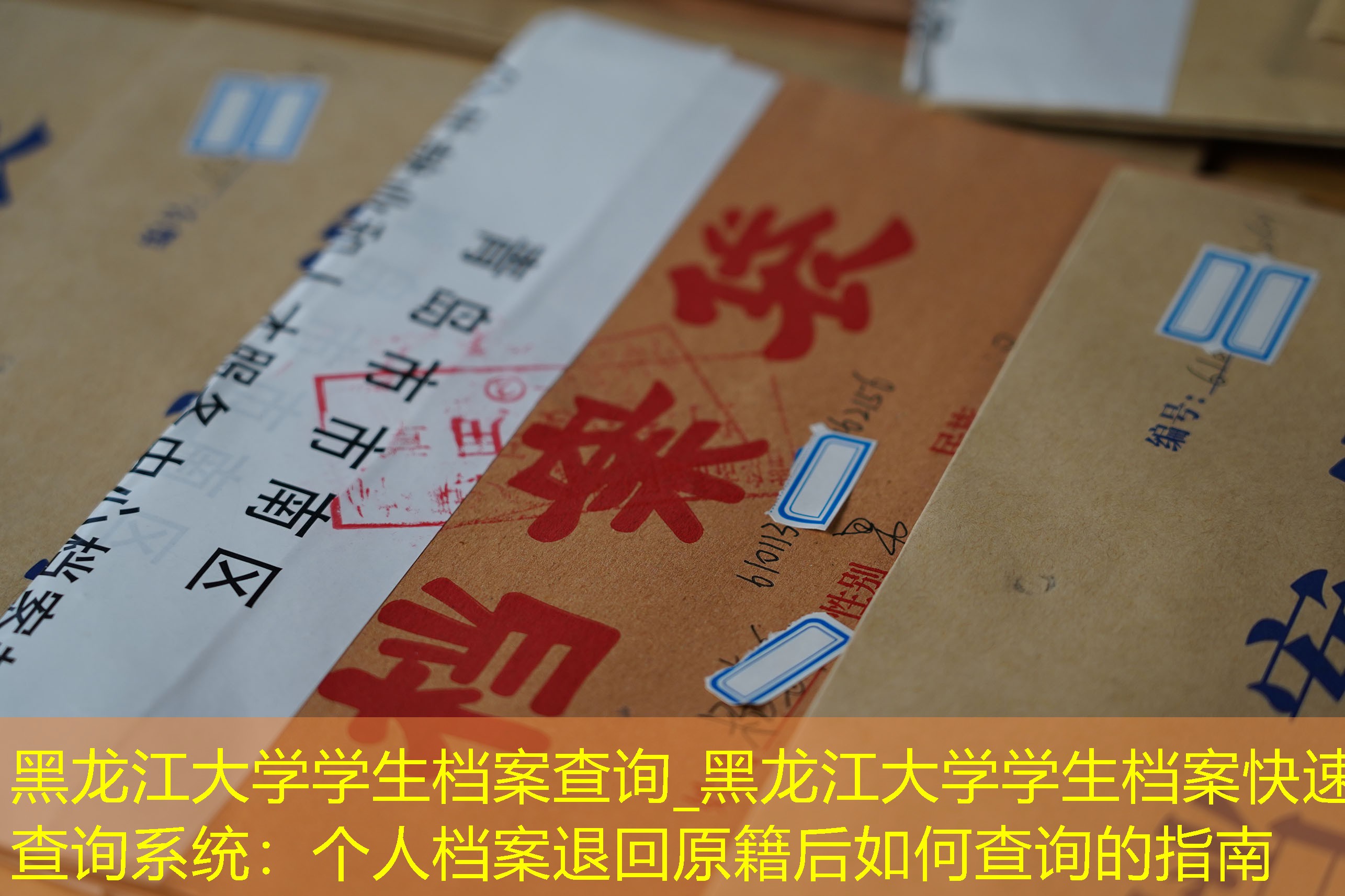 档案查询