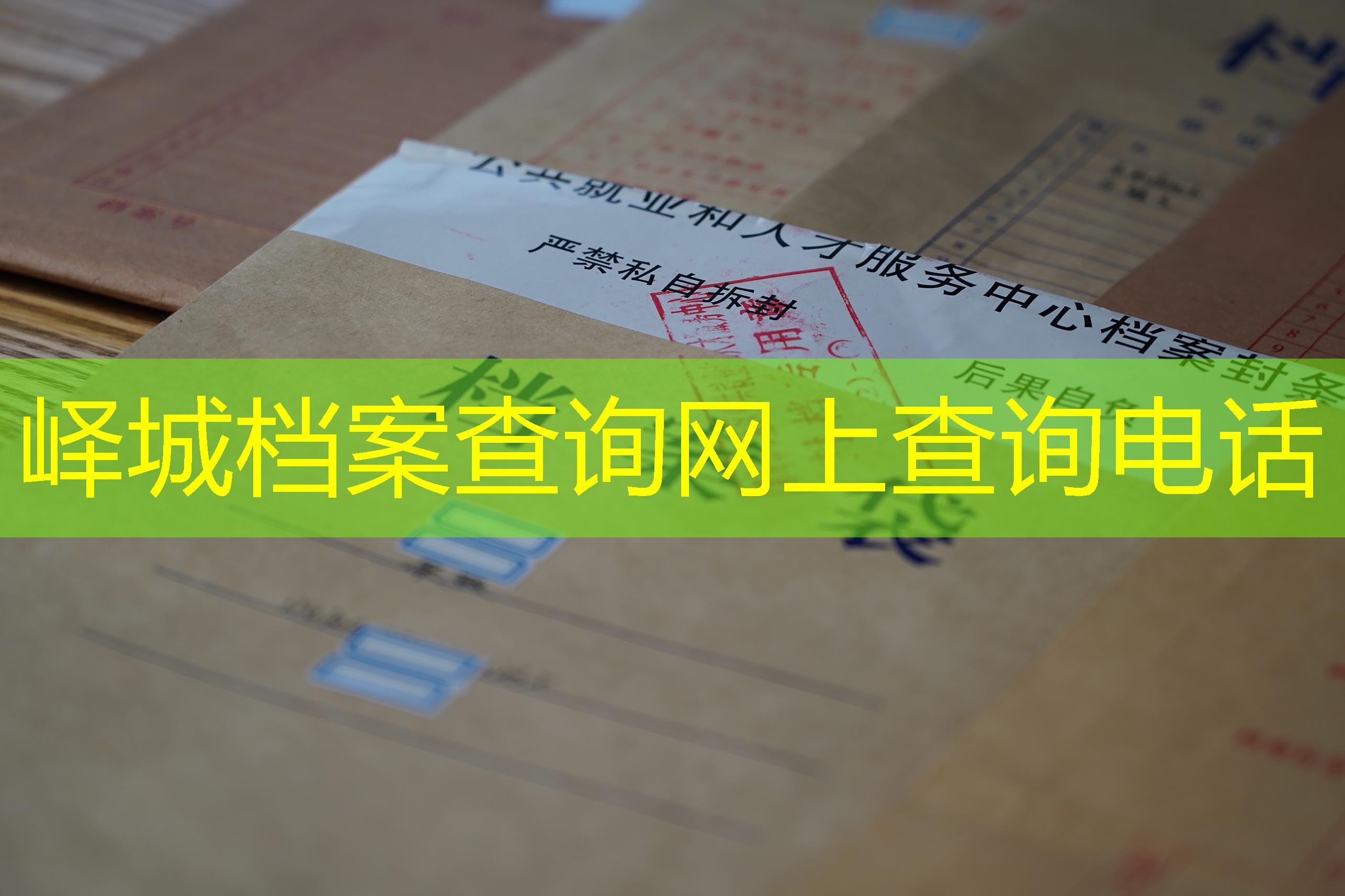 档案查询