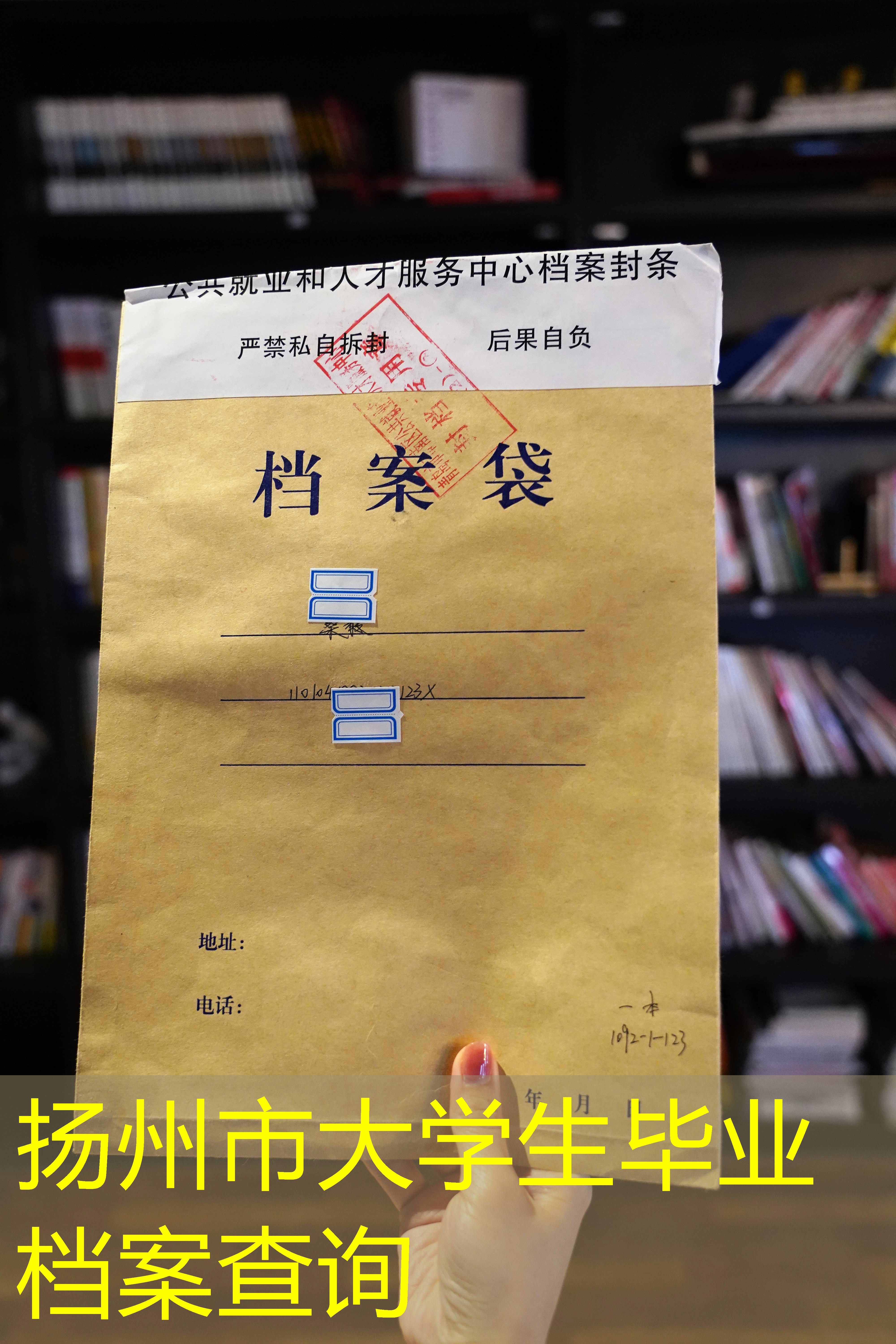 档案查询