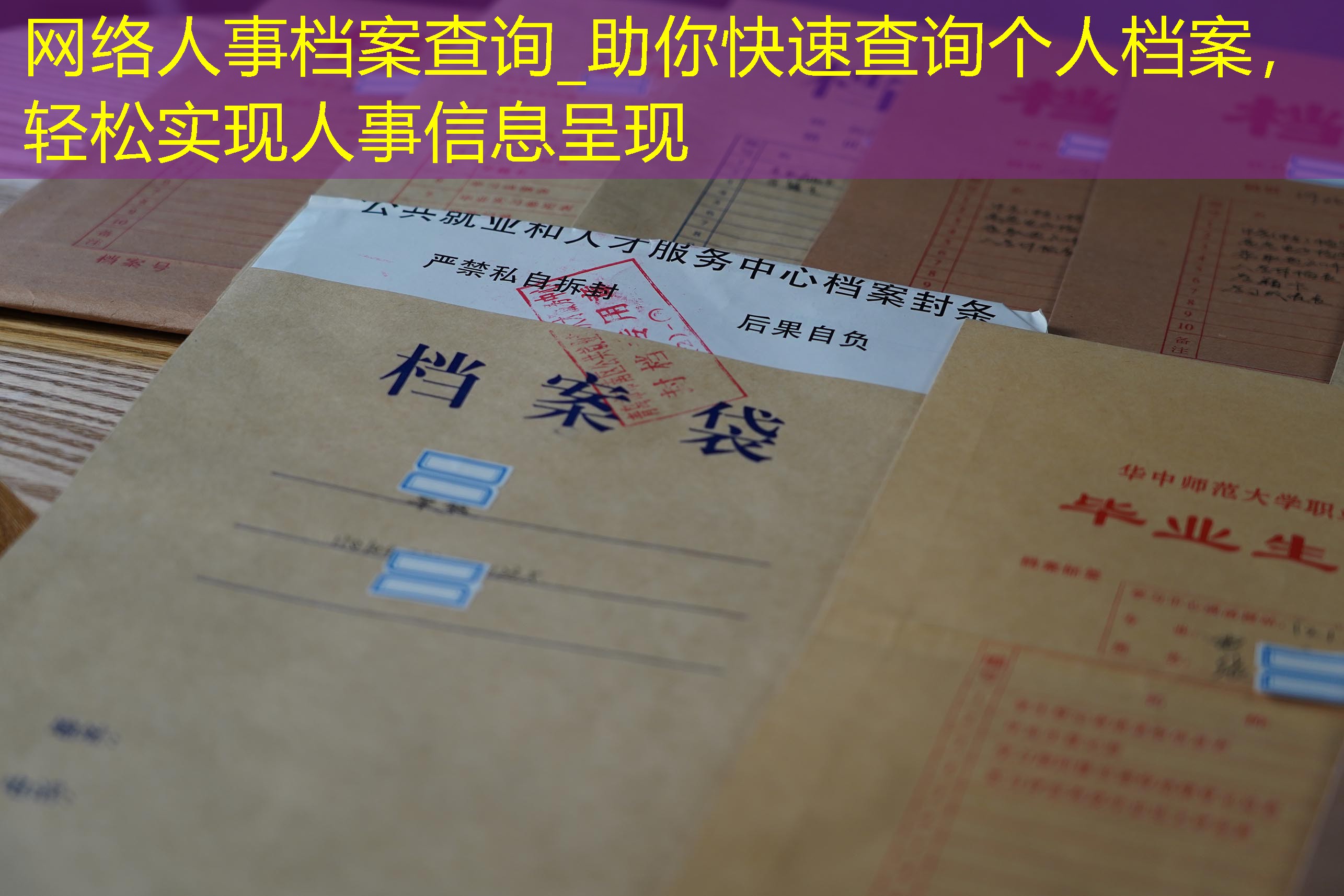 档案查询
