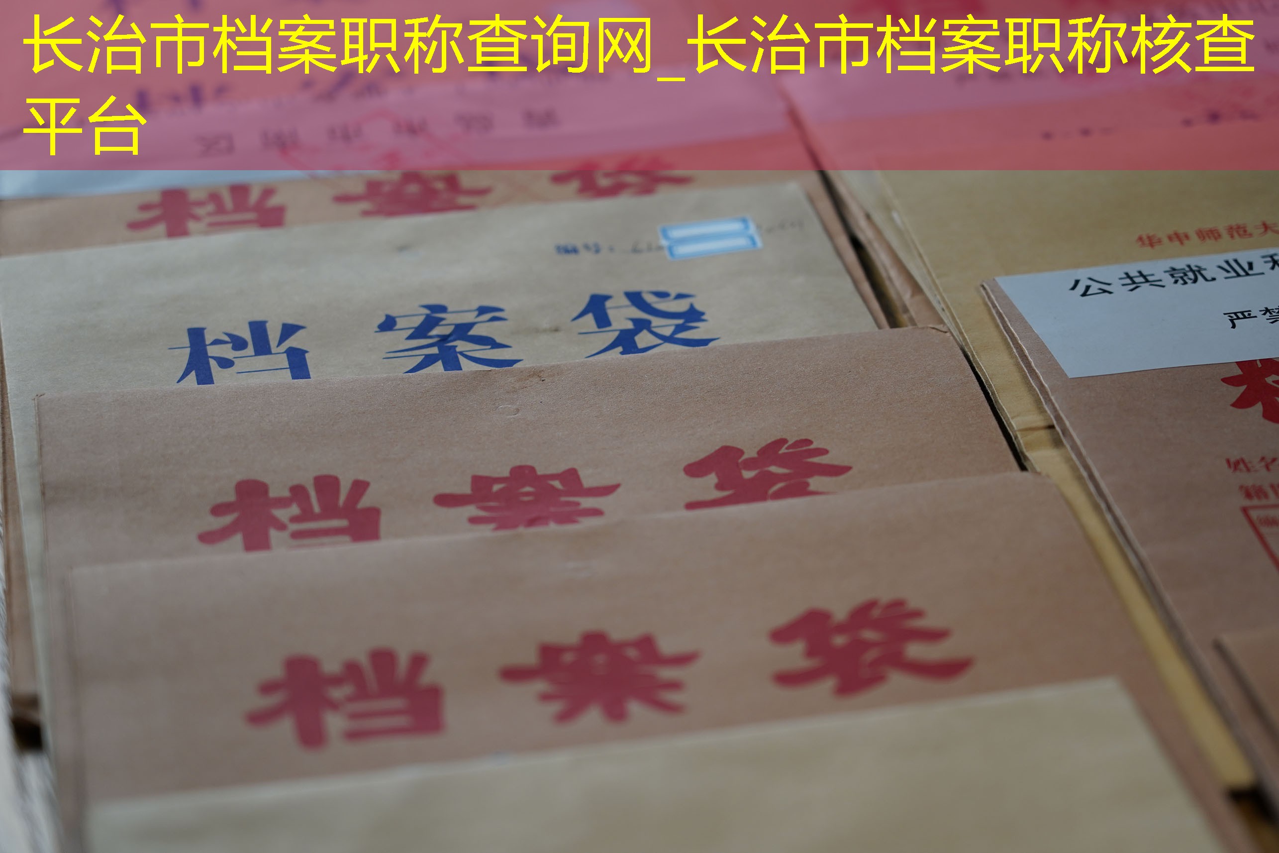 档案查询