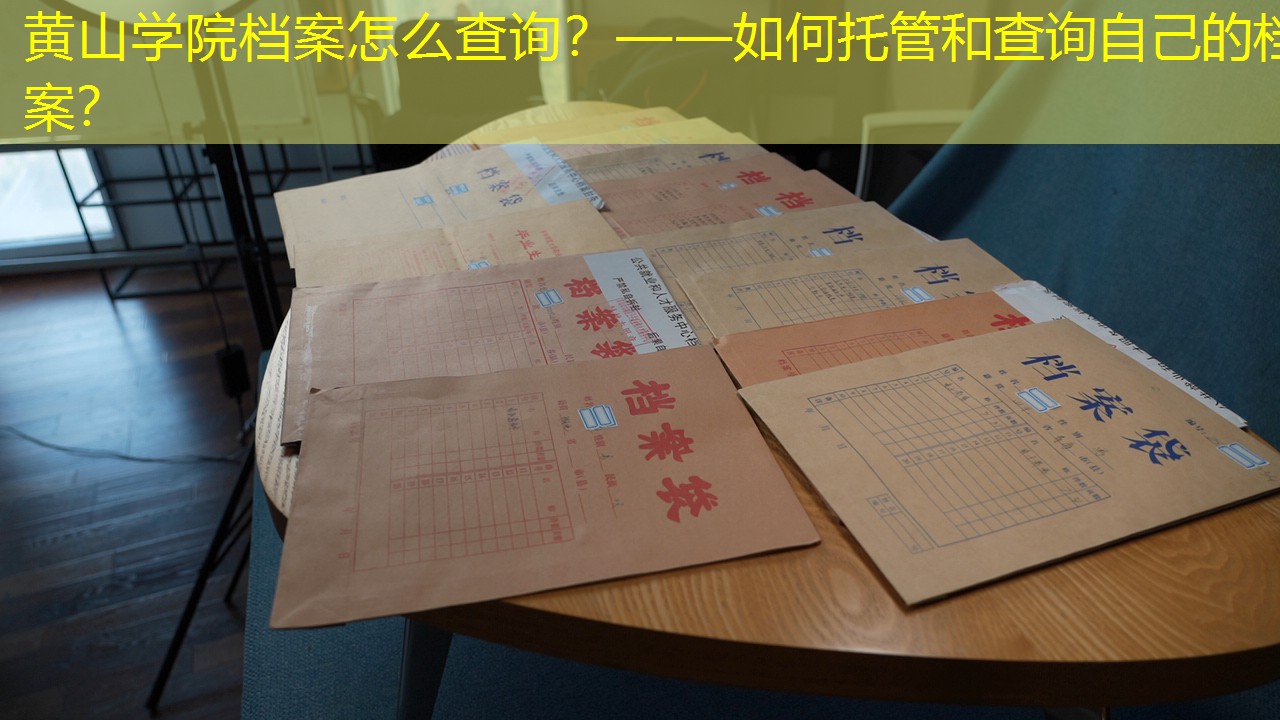 档案查询