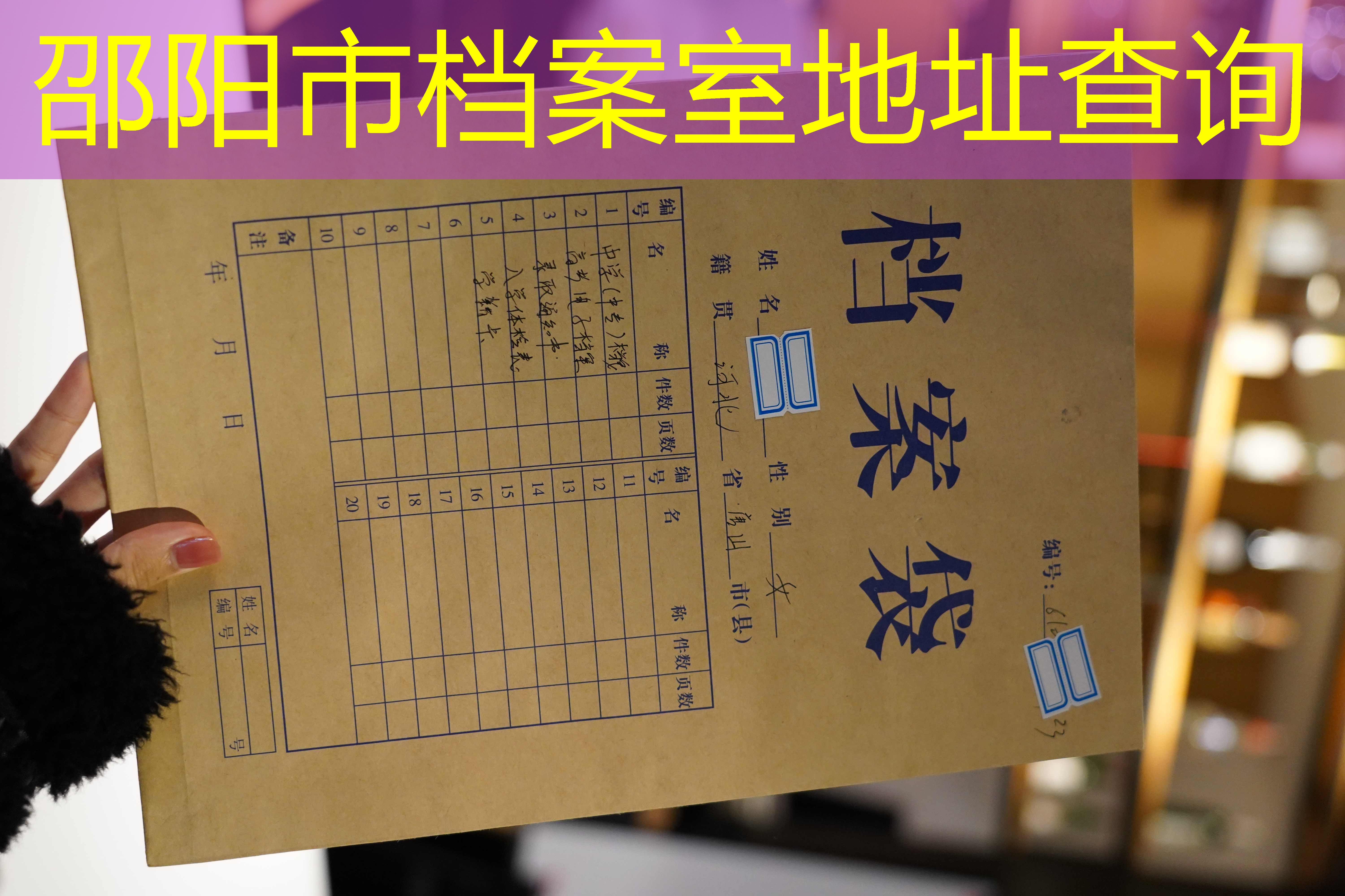 档案查询