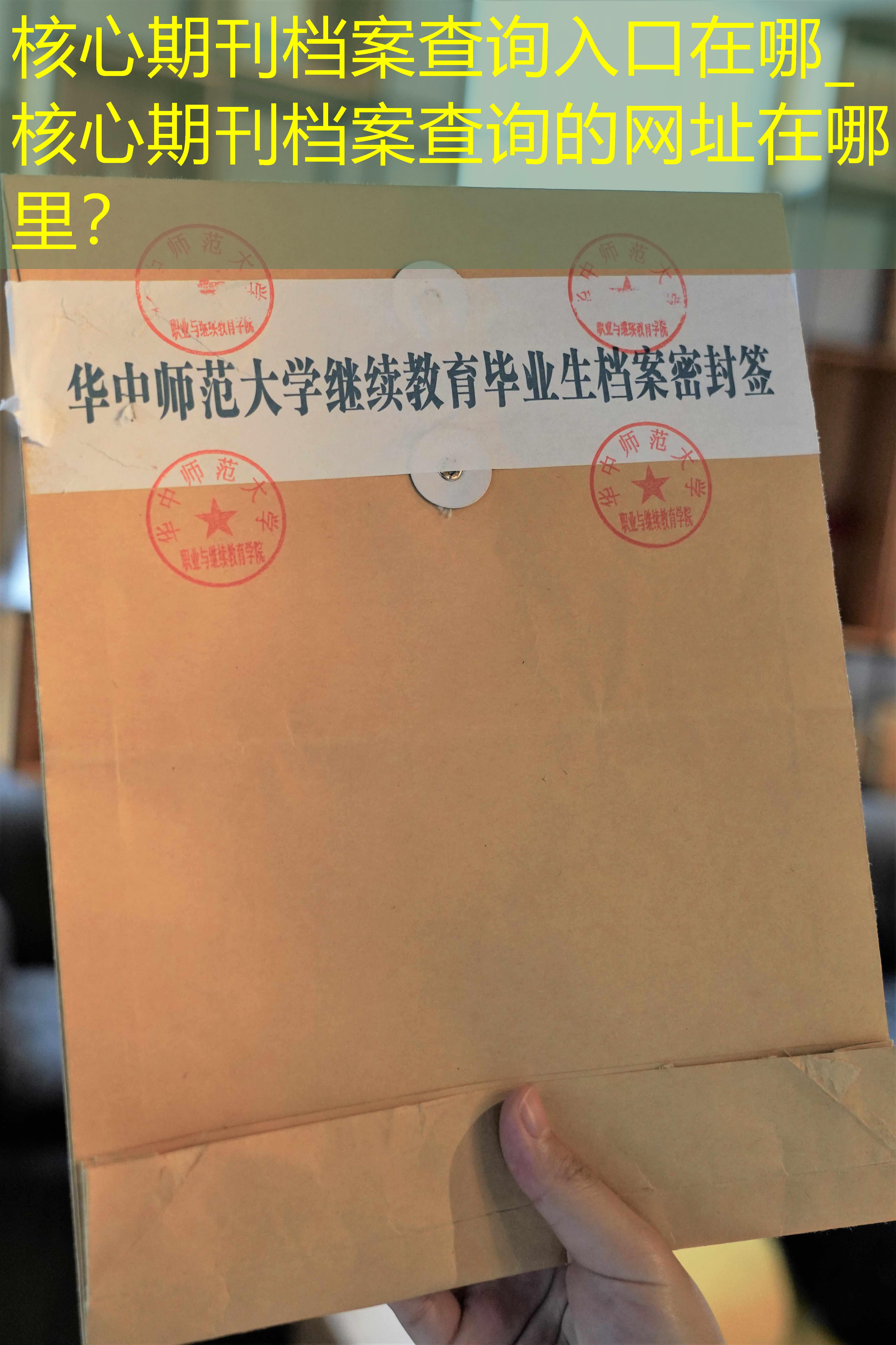 档案查询