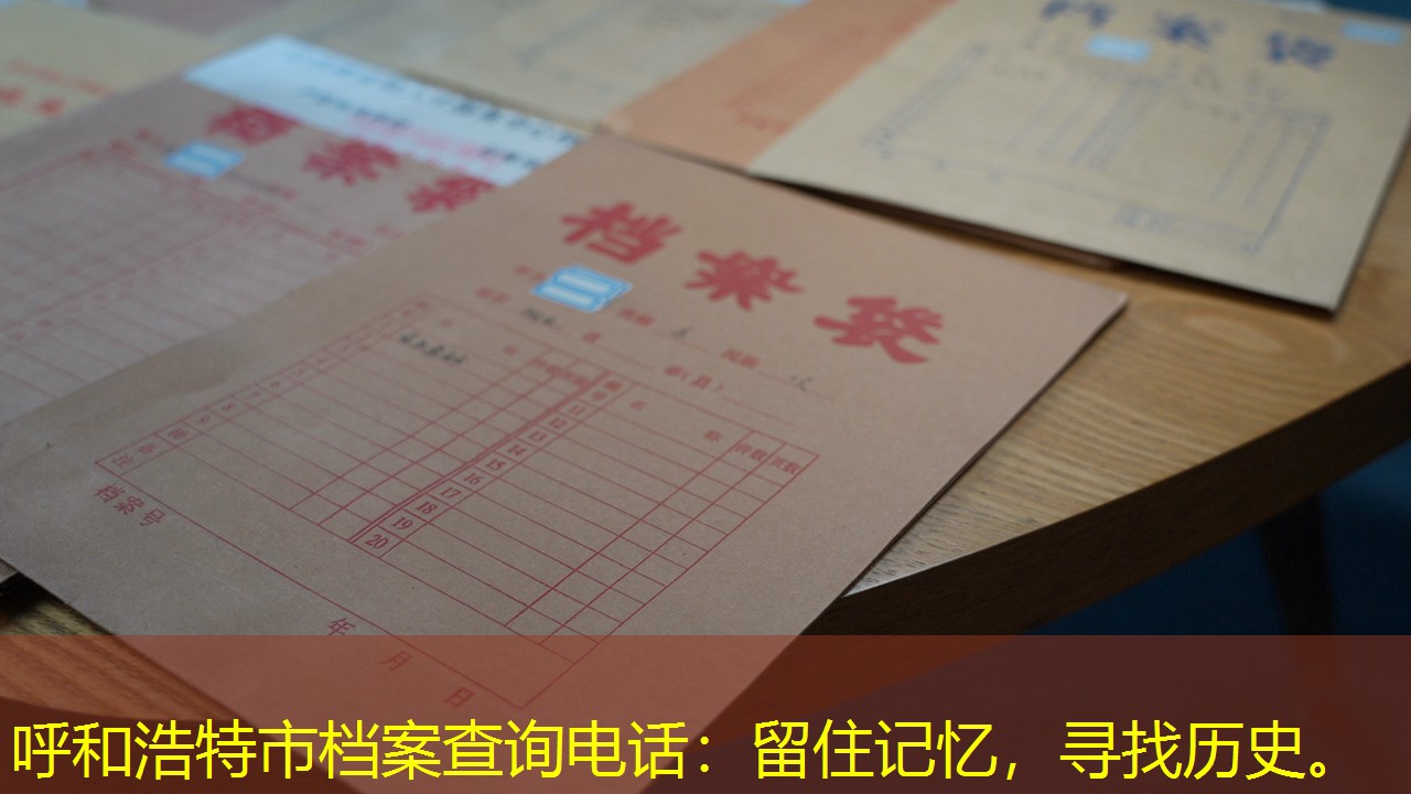 档案查询