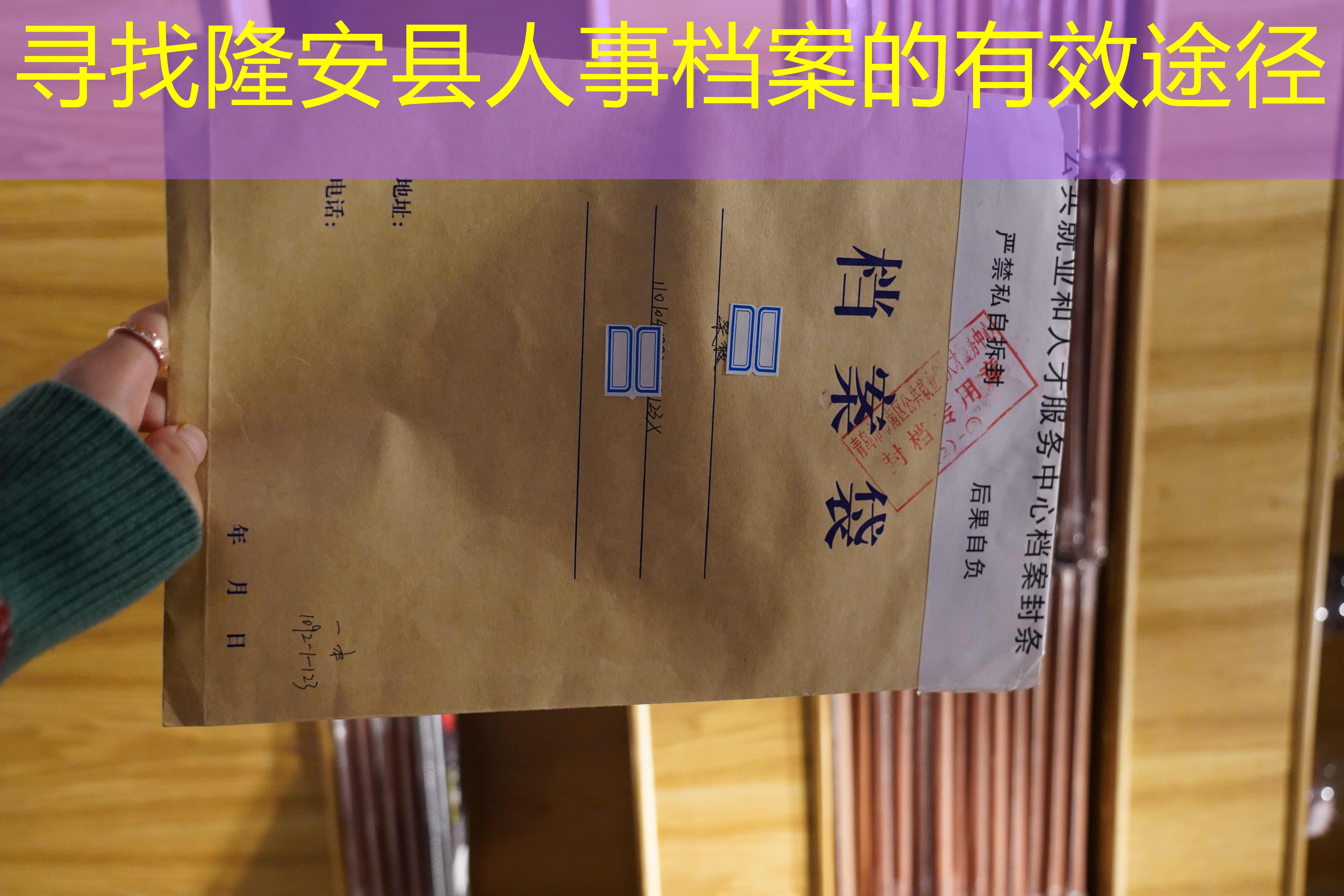 档案查询