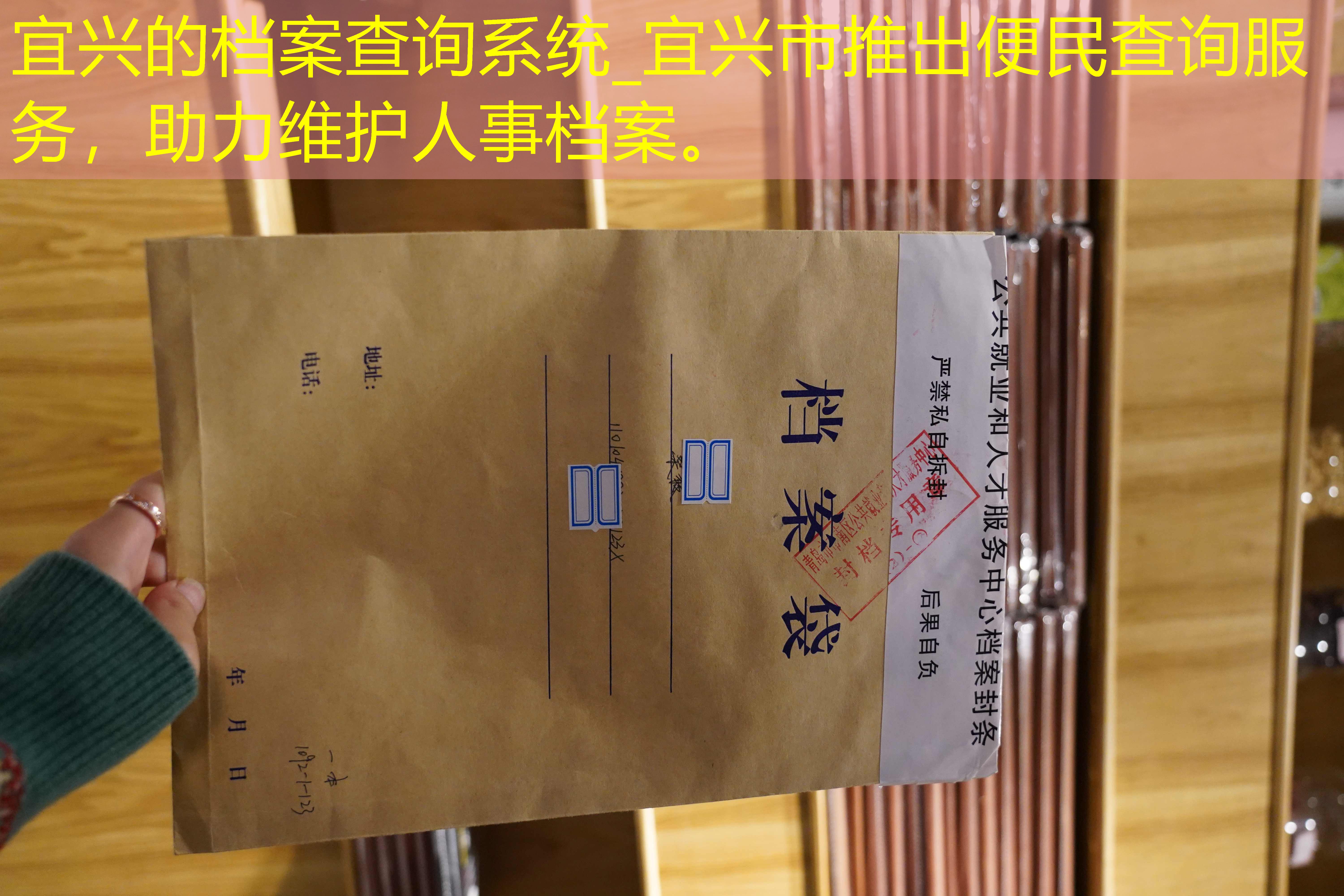 档案查询