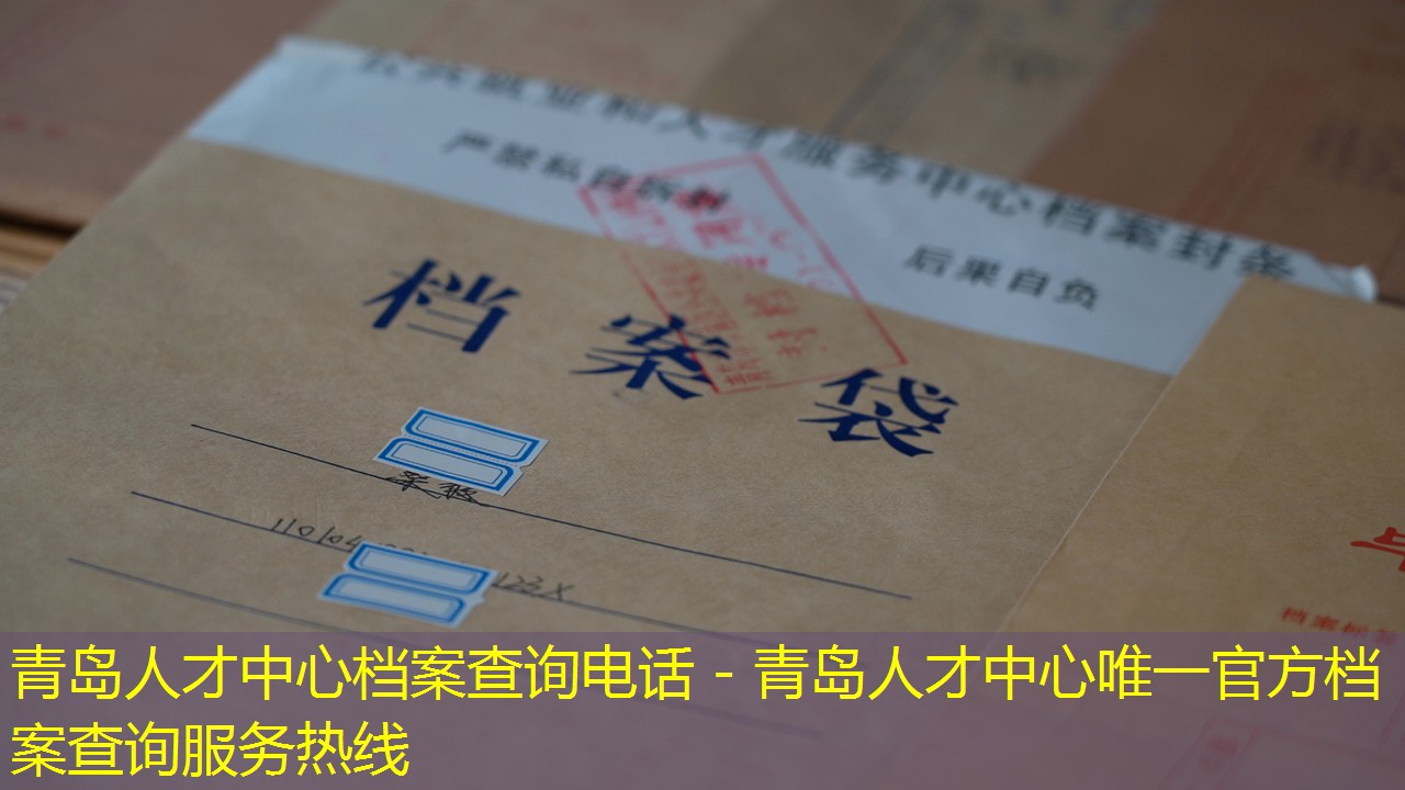 档案查询
