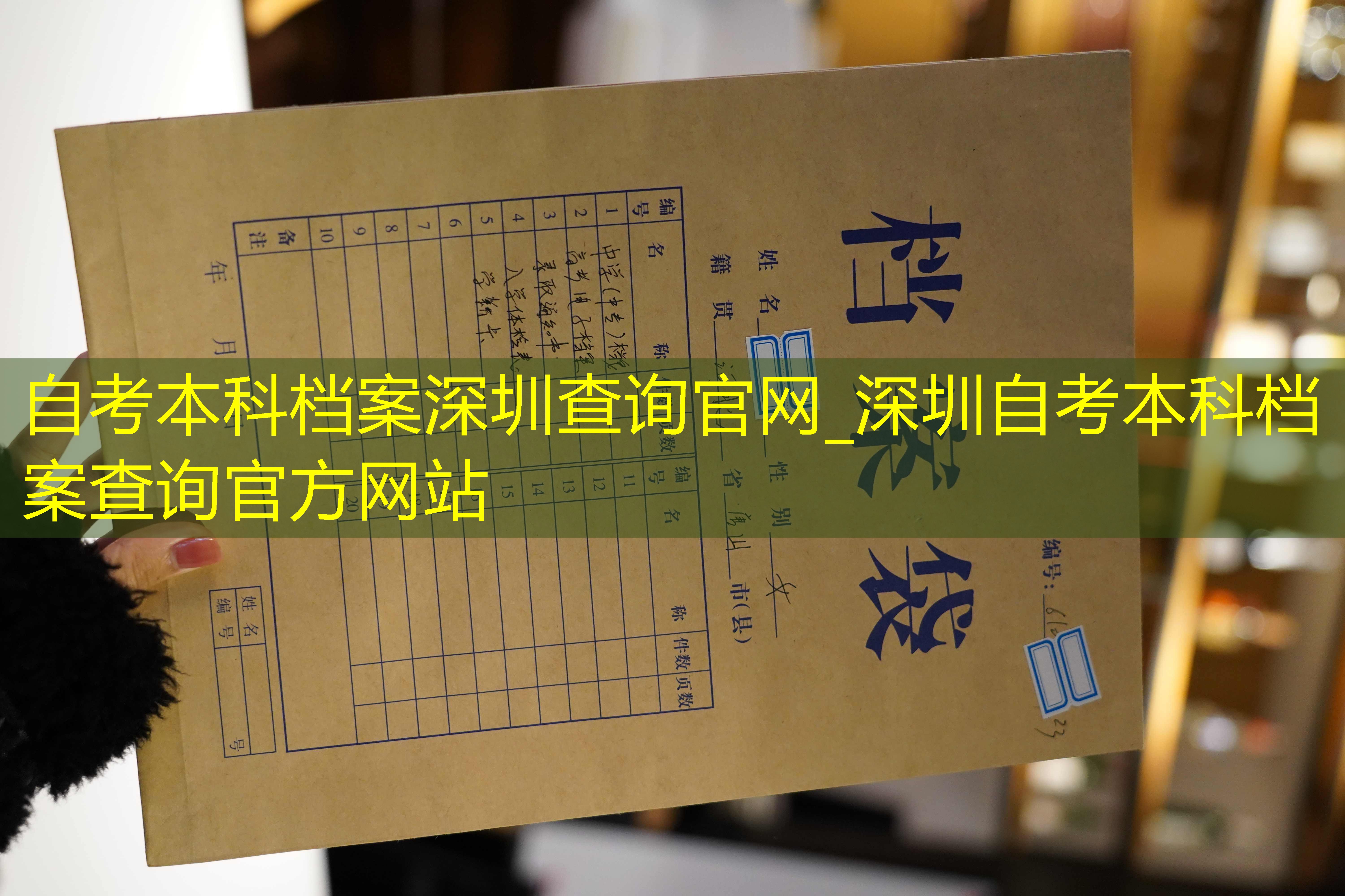 档案查询