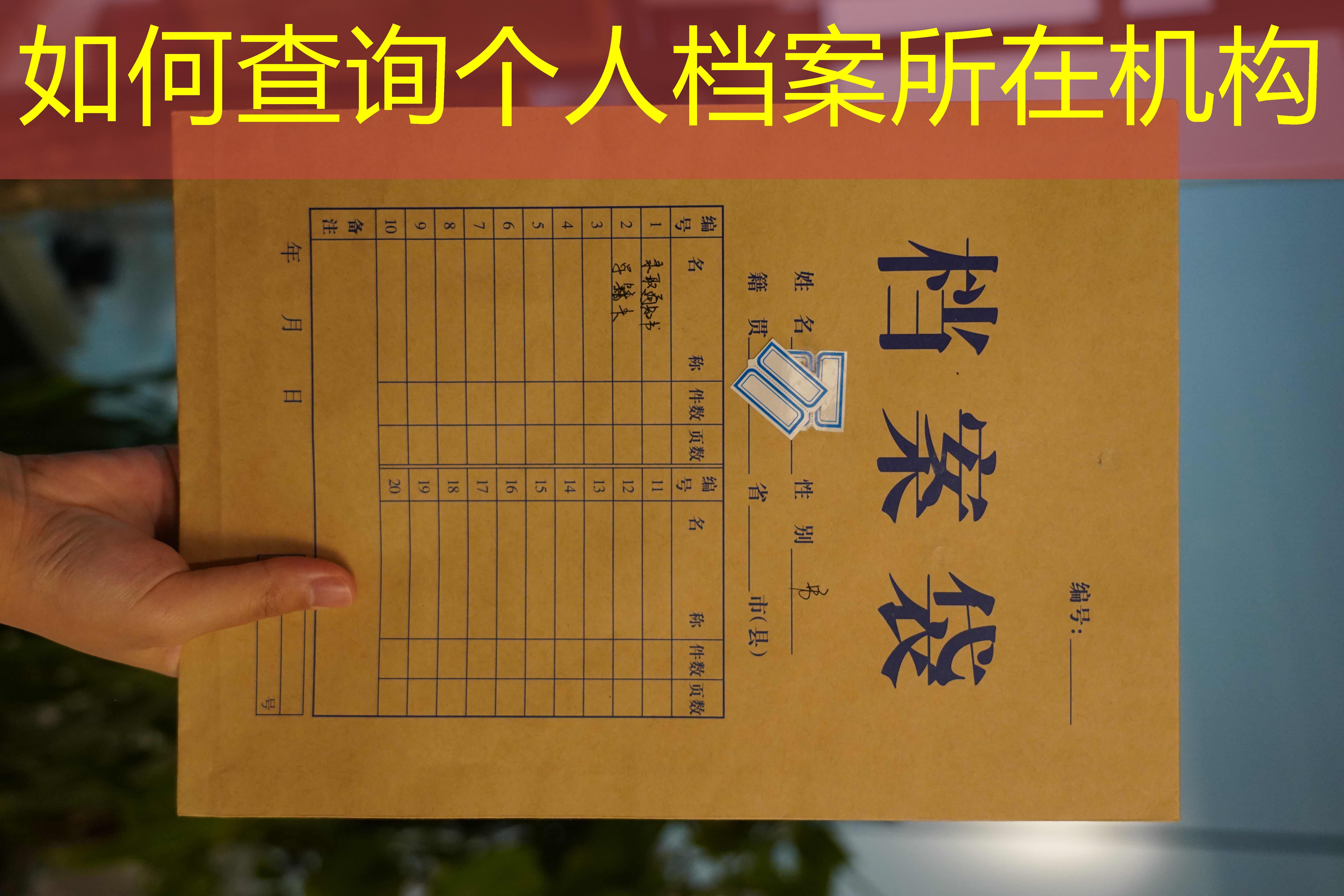 档案查询