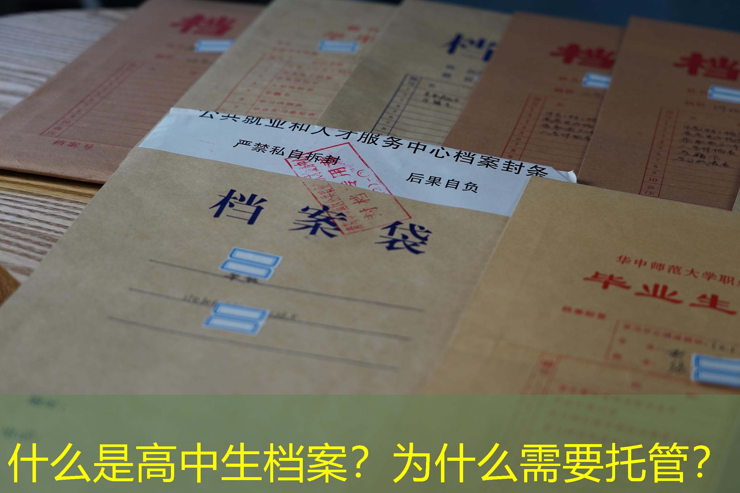 档案查询
