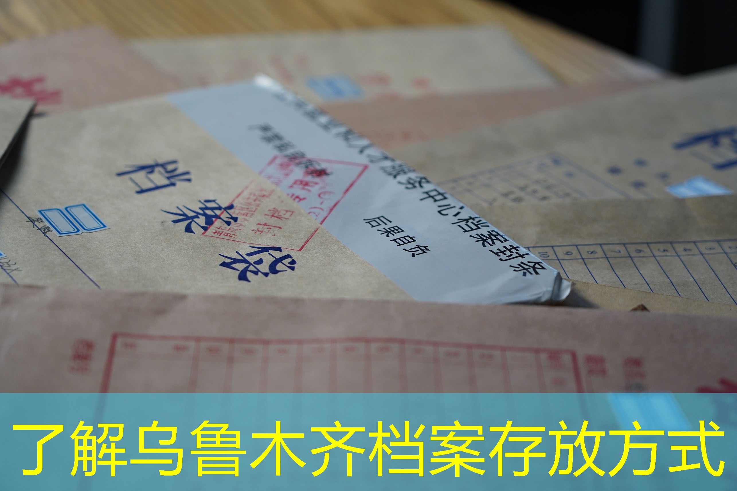 档案查询