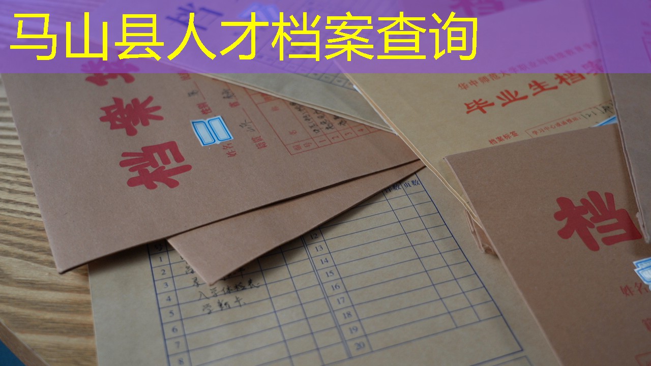 档案查询