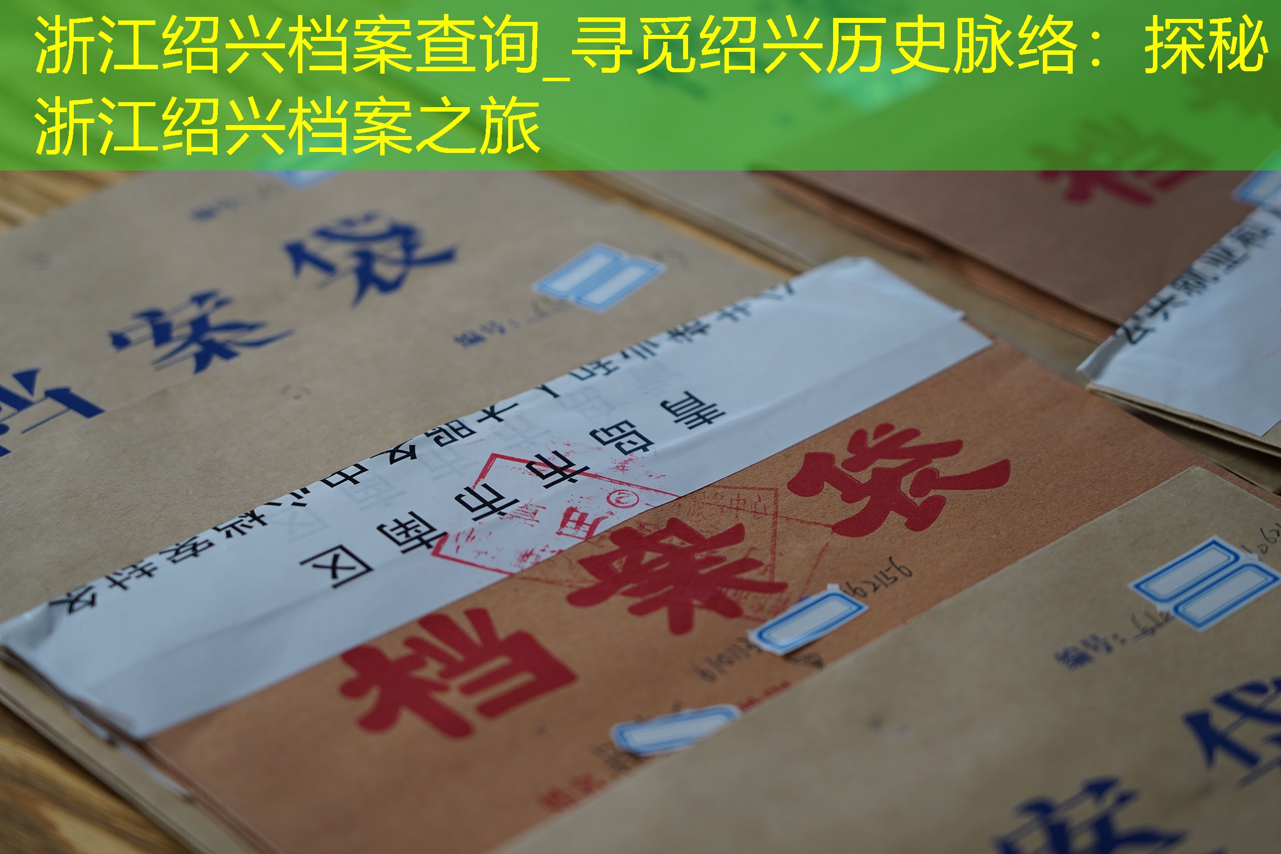 档案查询