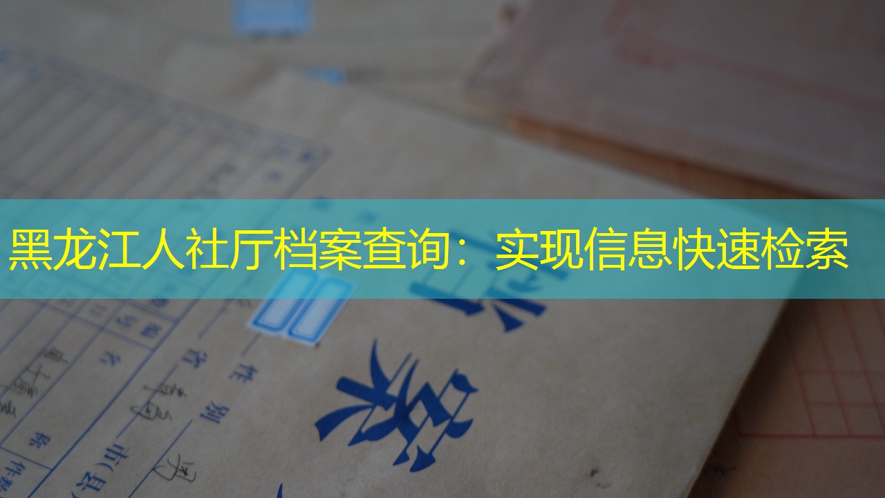 档案查询