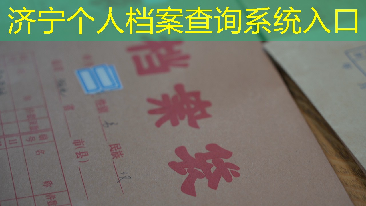 档案查询