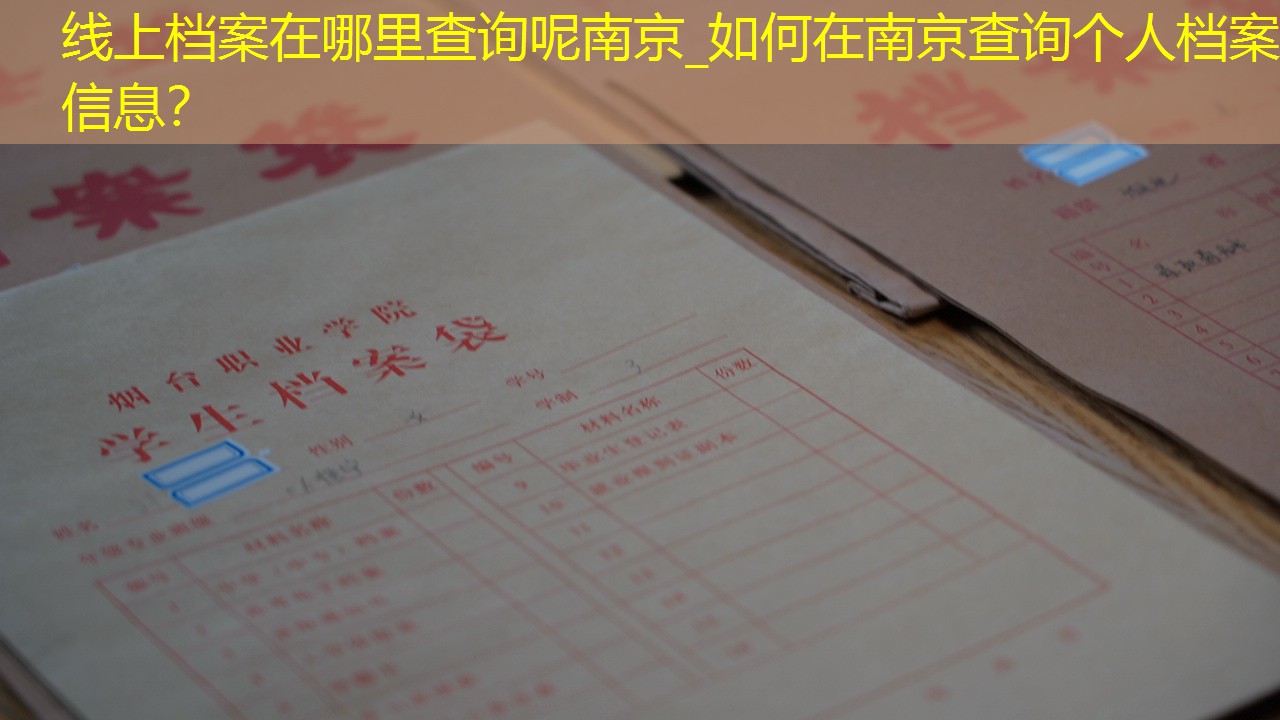 档案查询