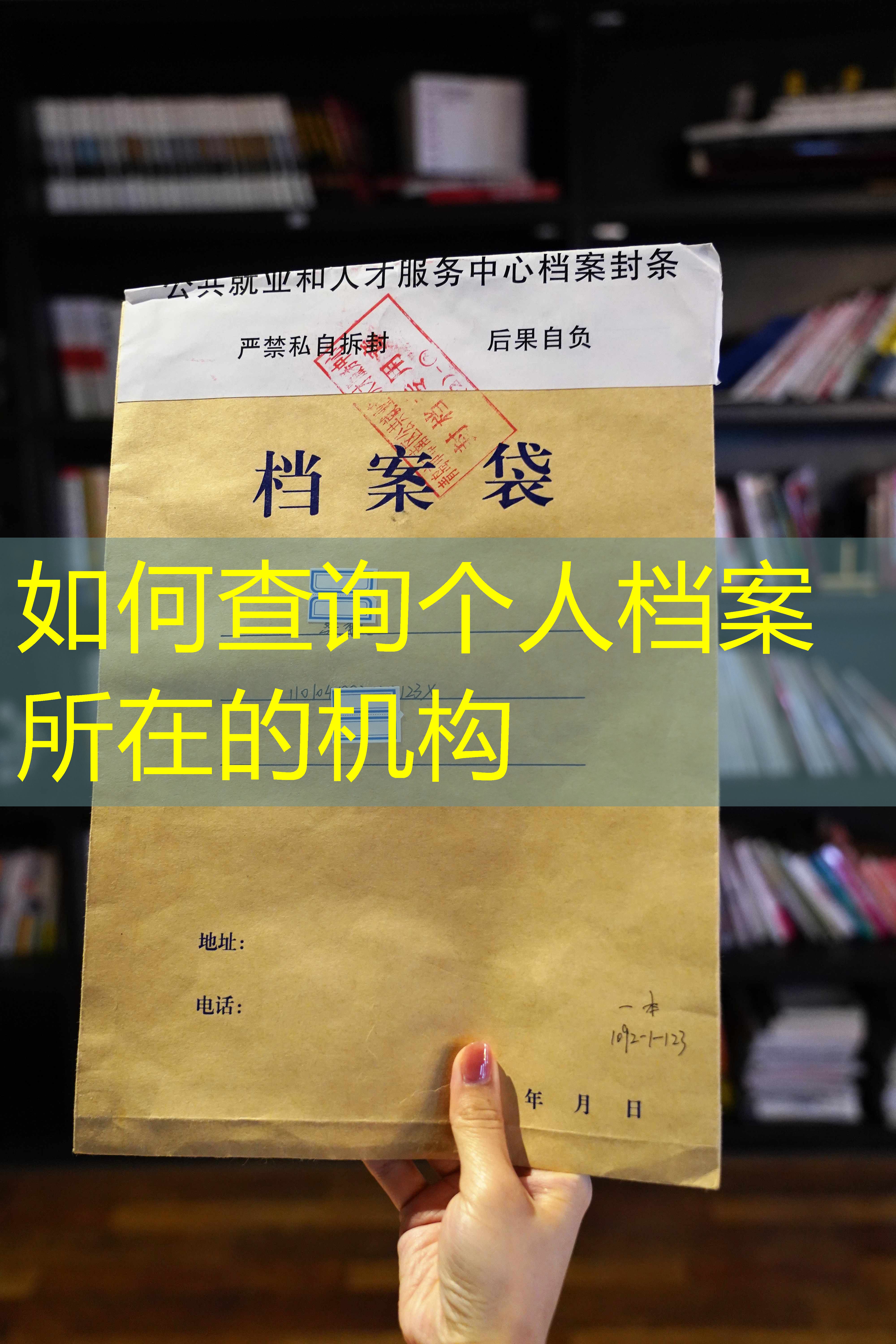 档案查询