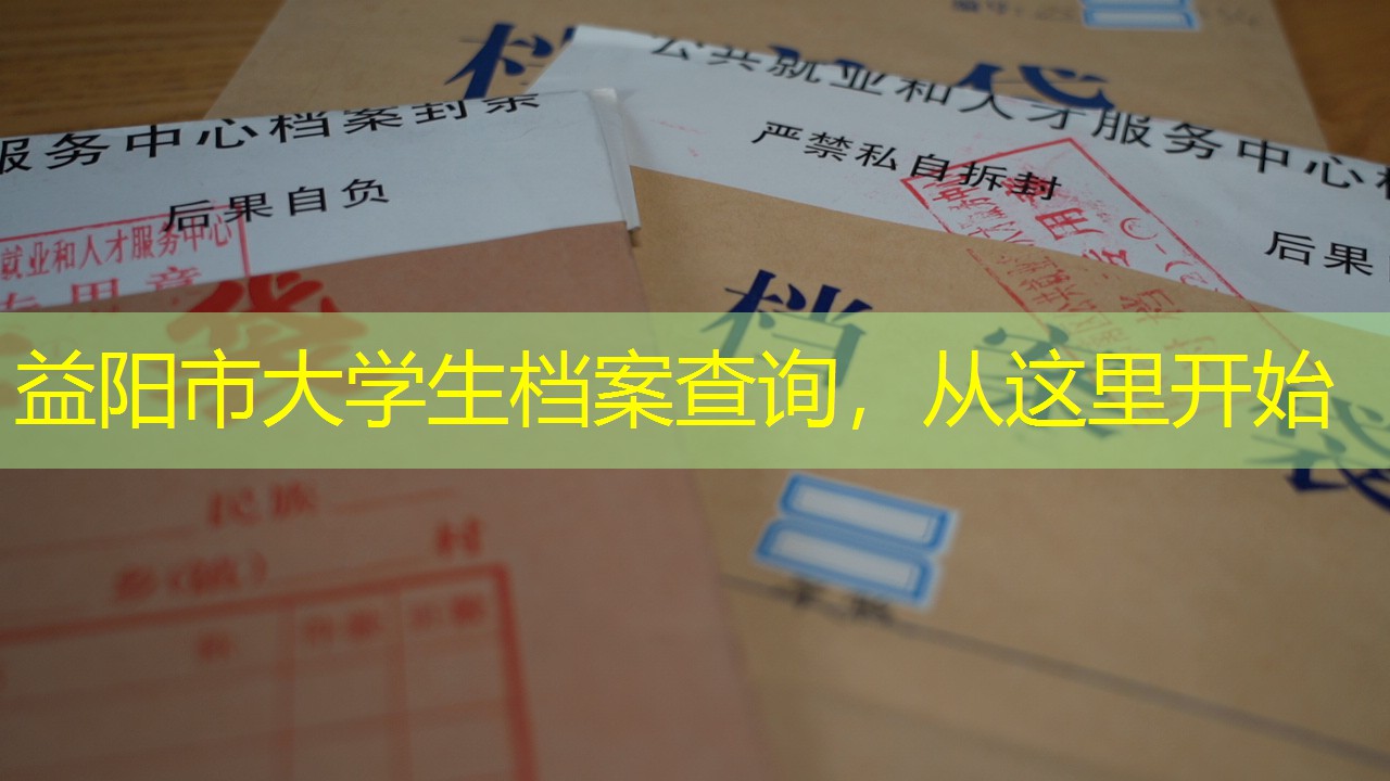 档案查询