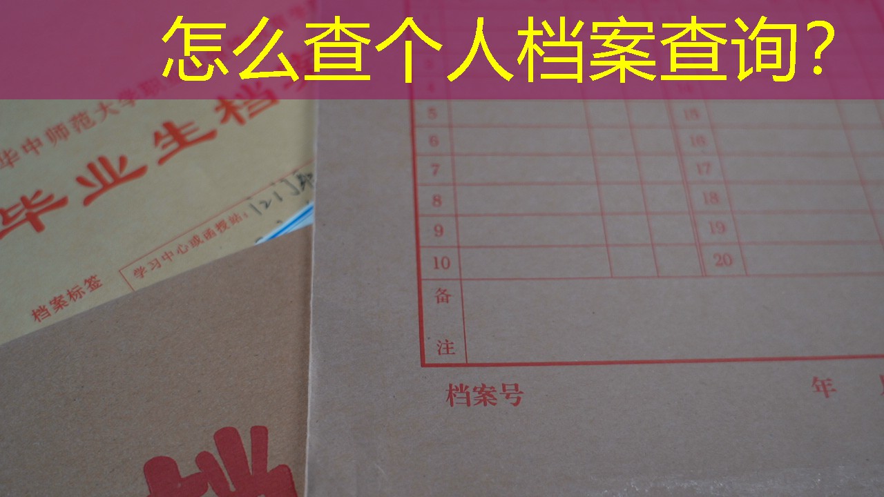 档案查询