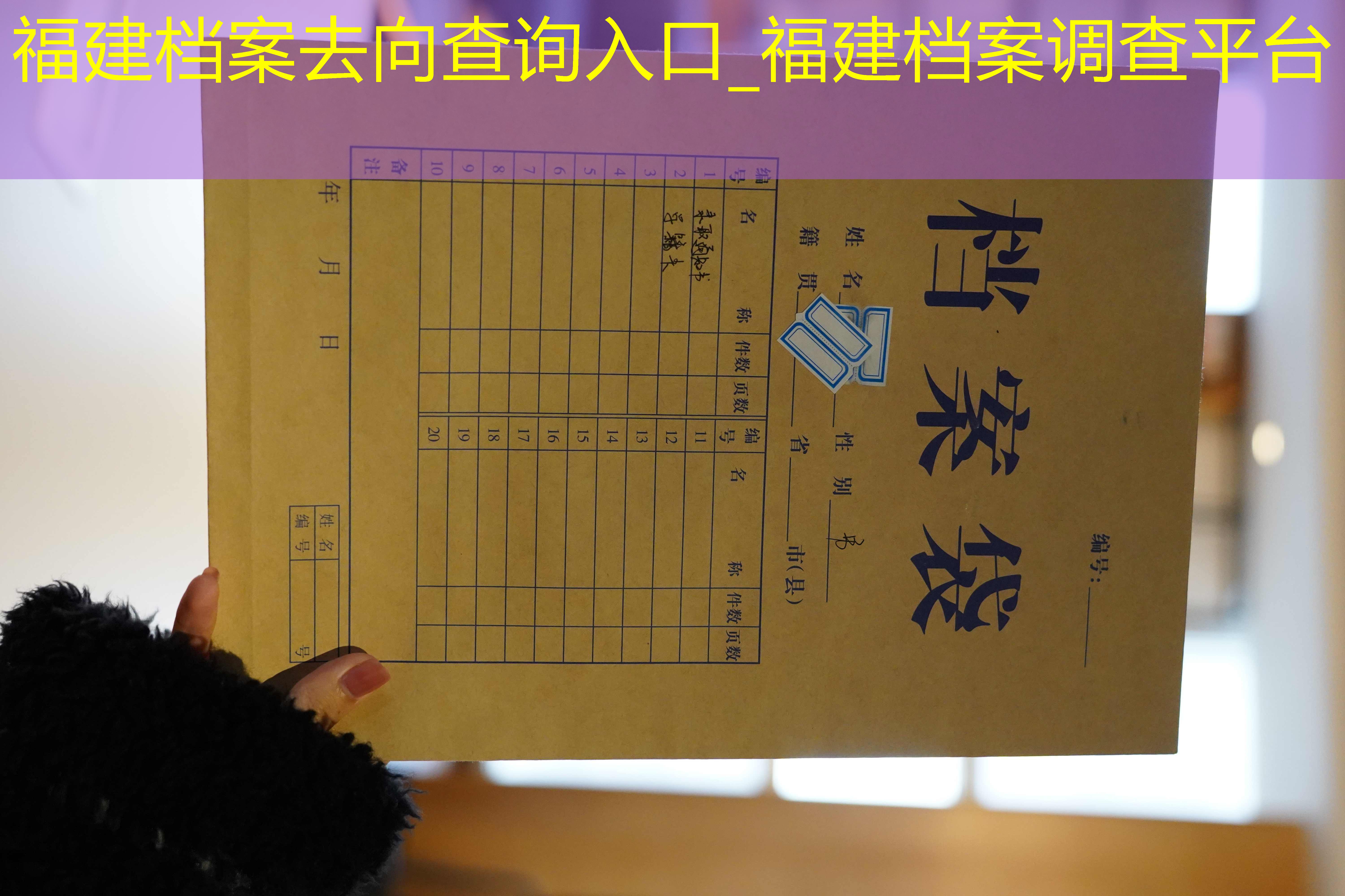 档案查询