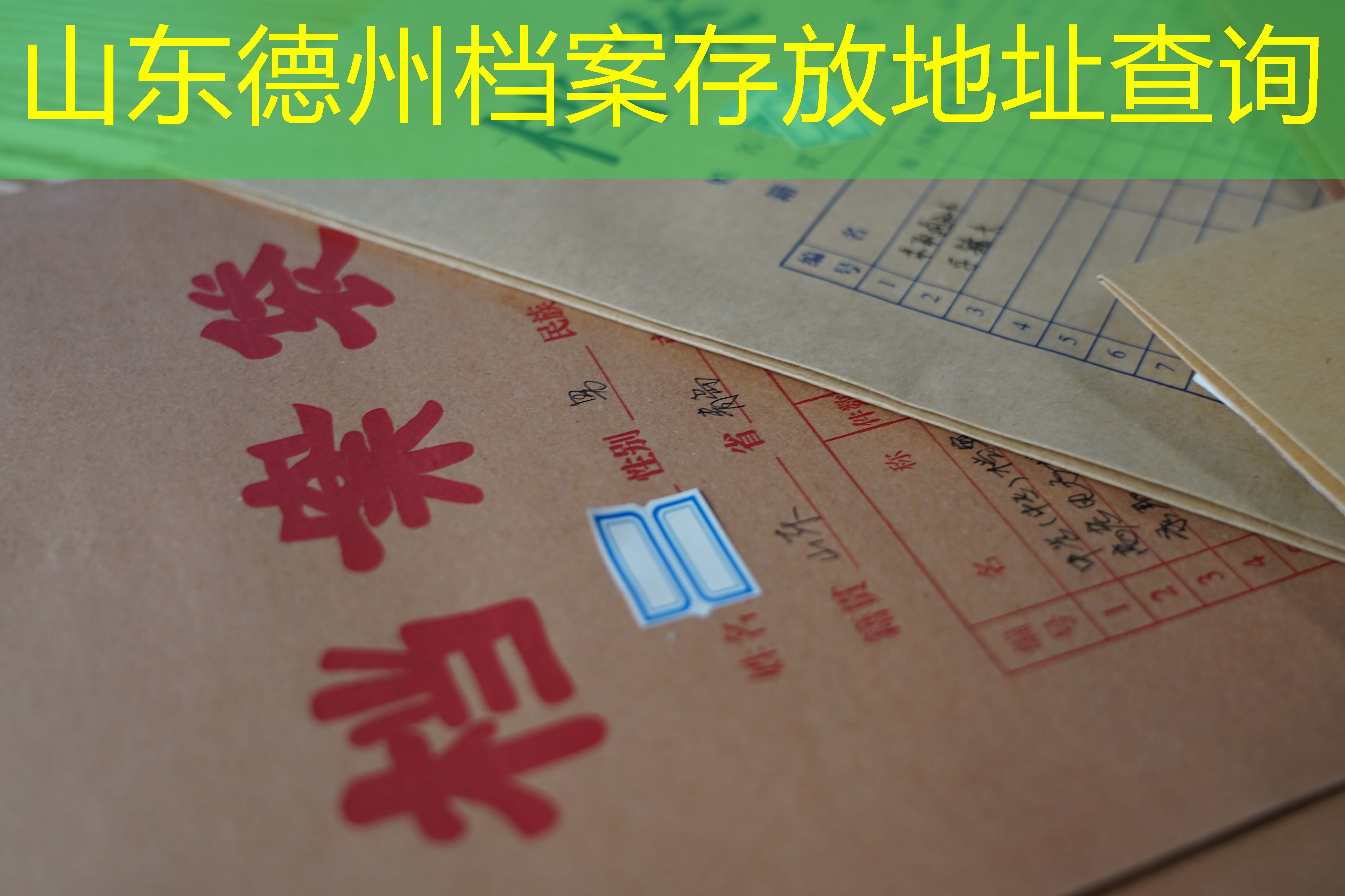 档案查询