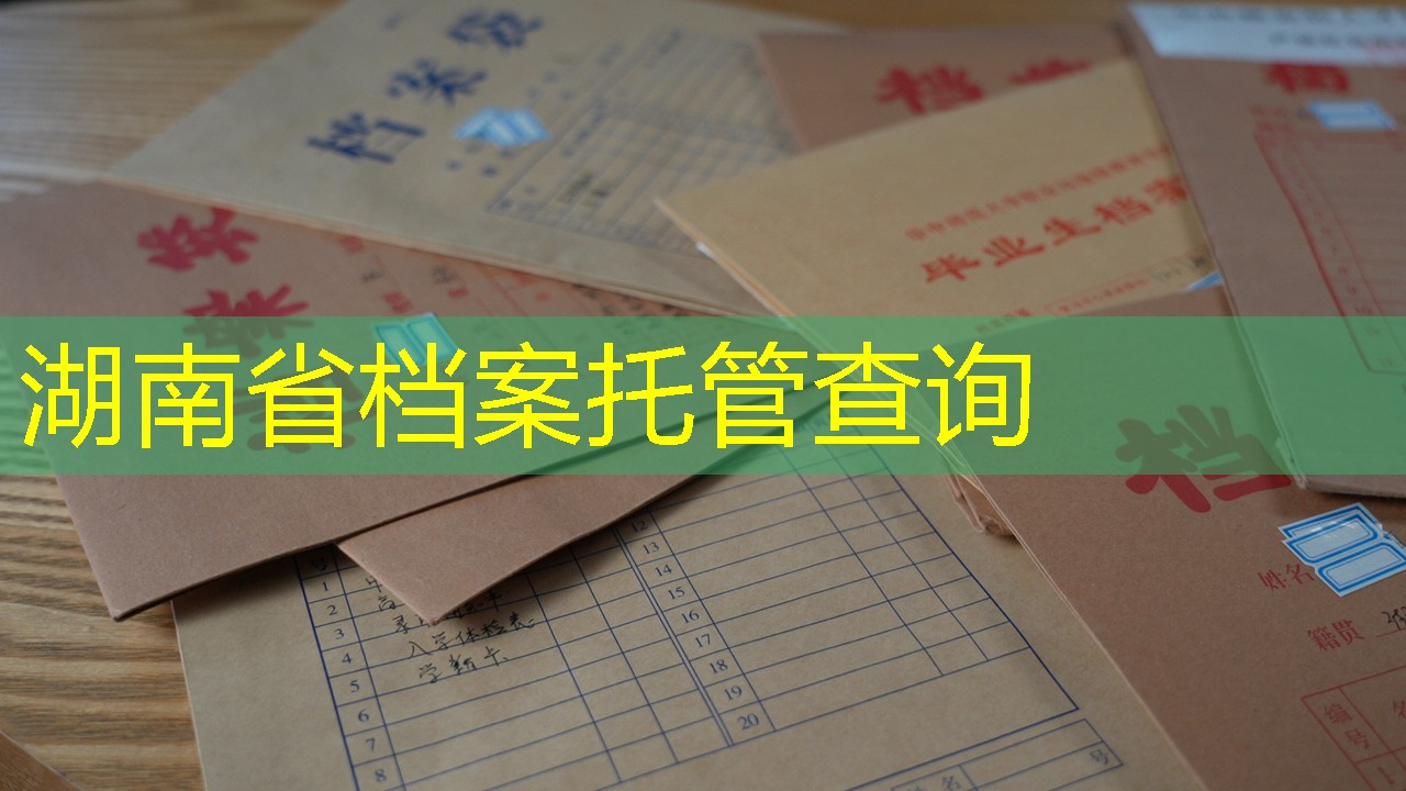 档案查询