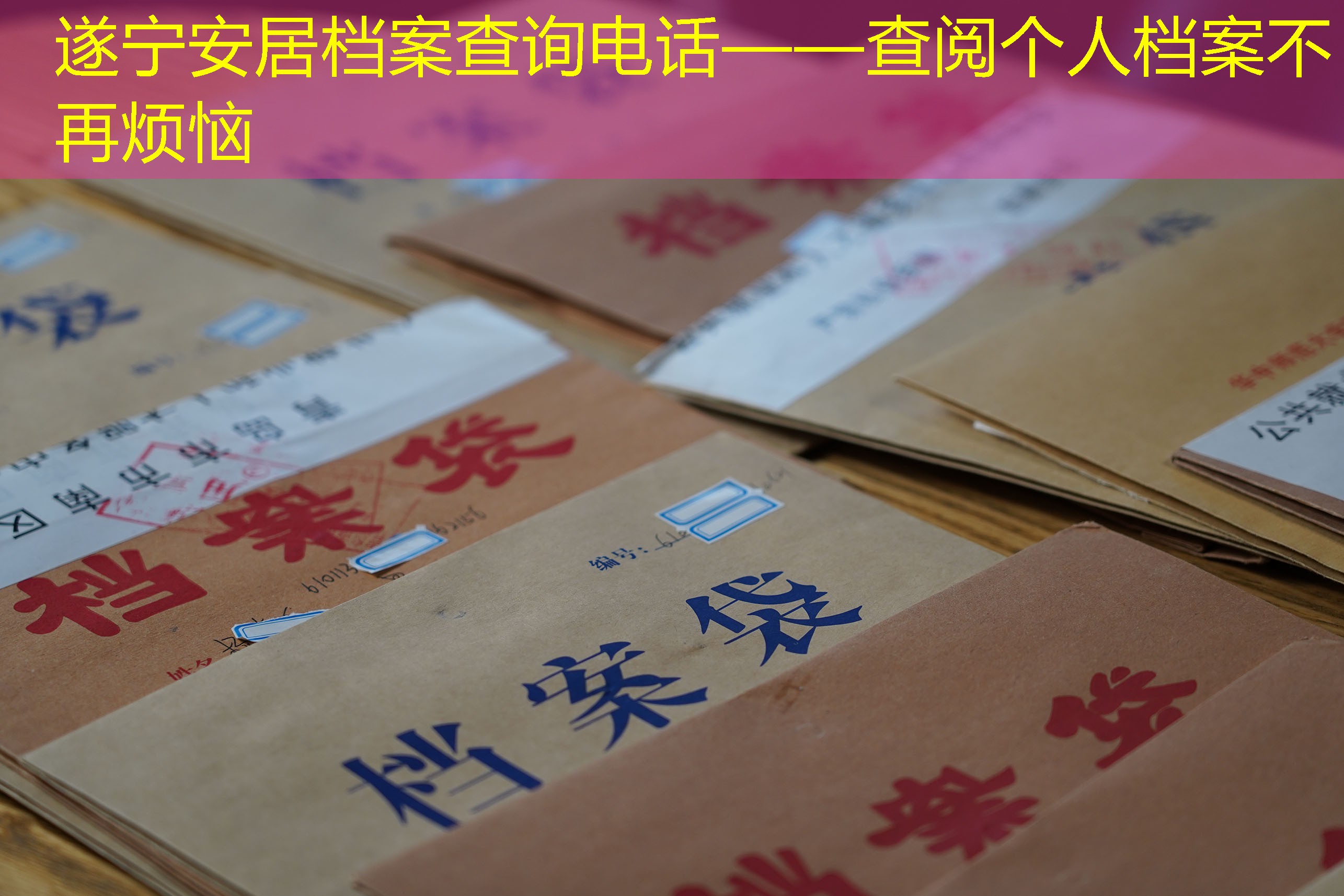 档案查询