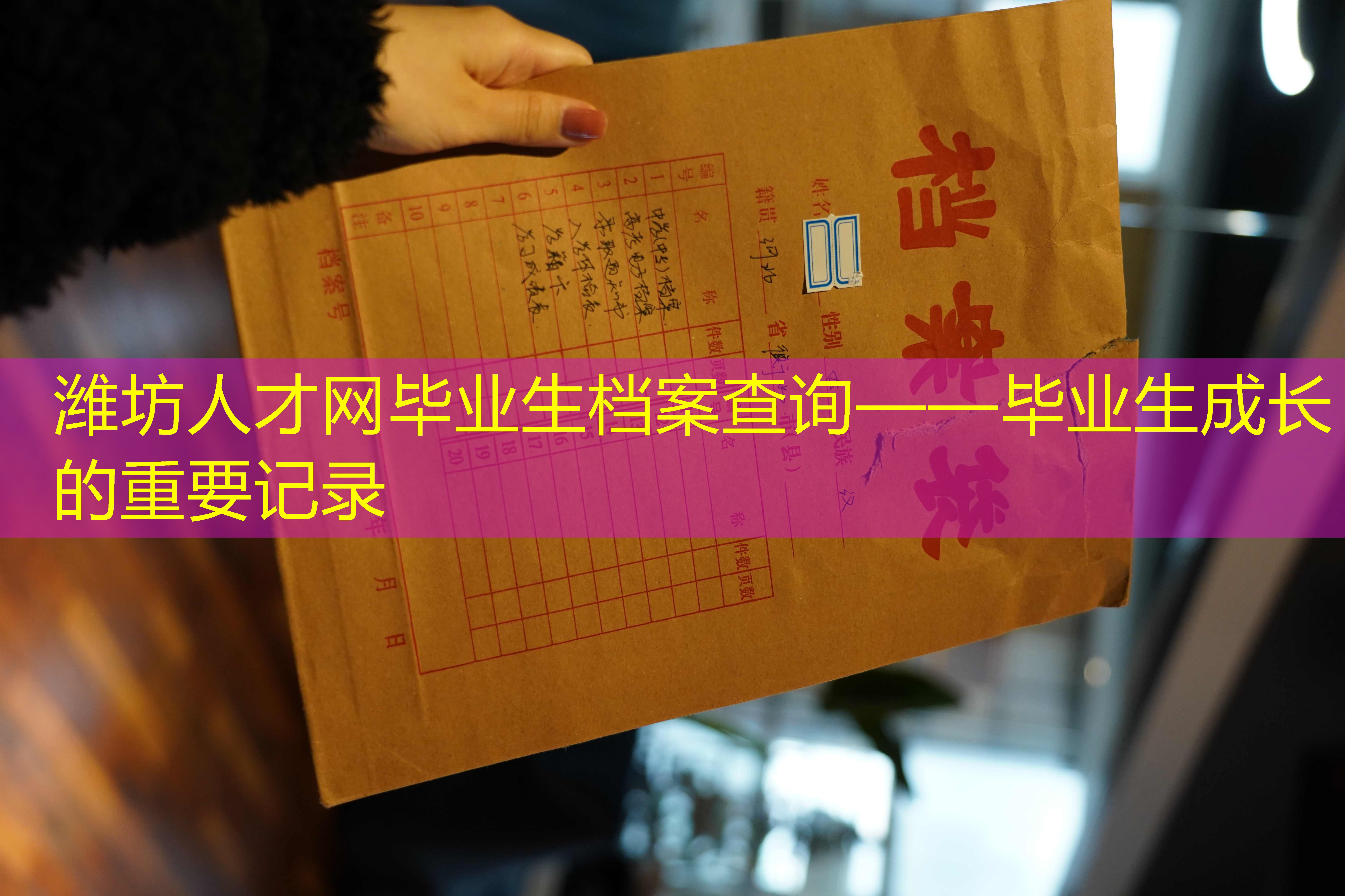 档案查询