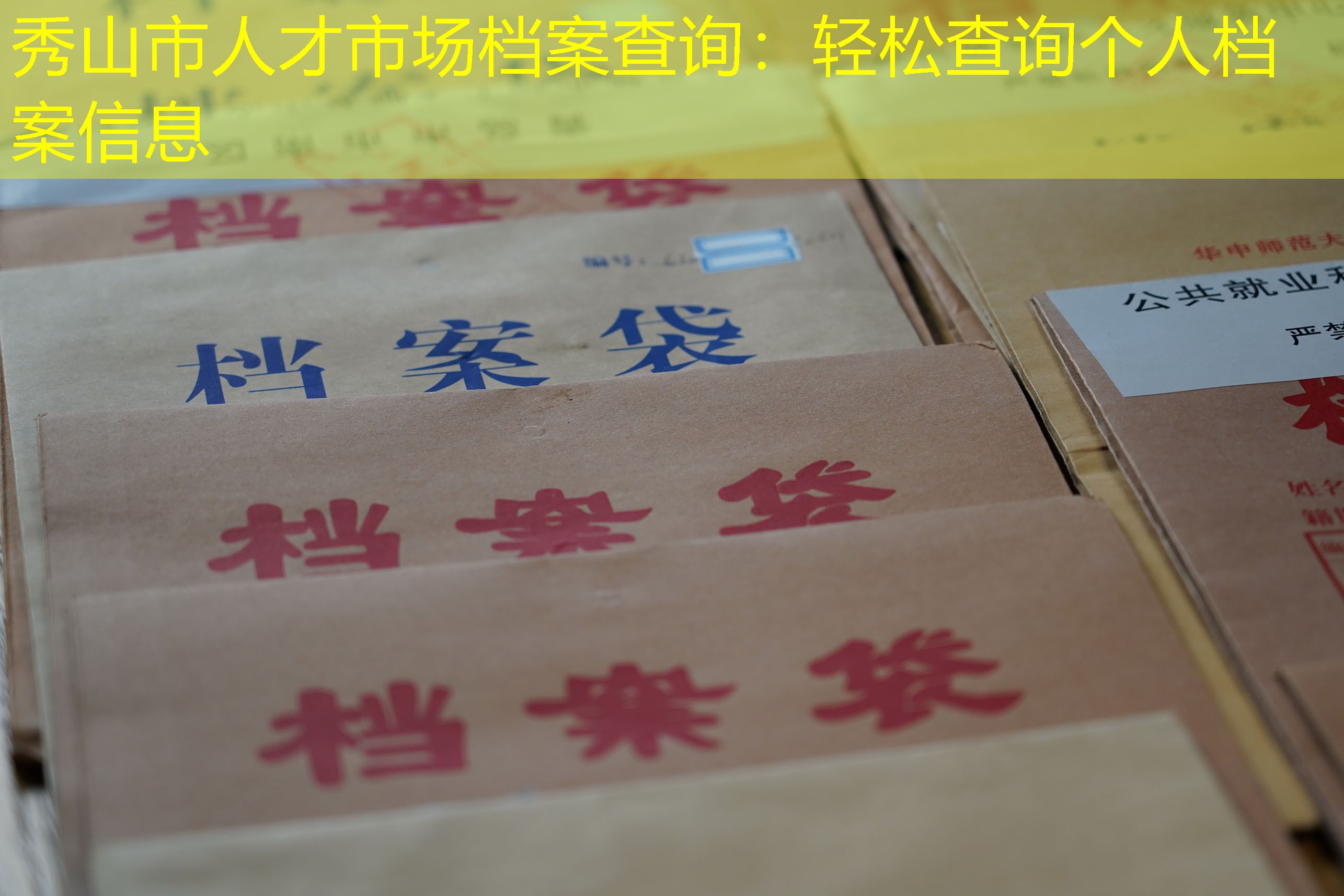 档案查询