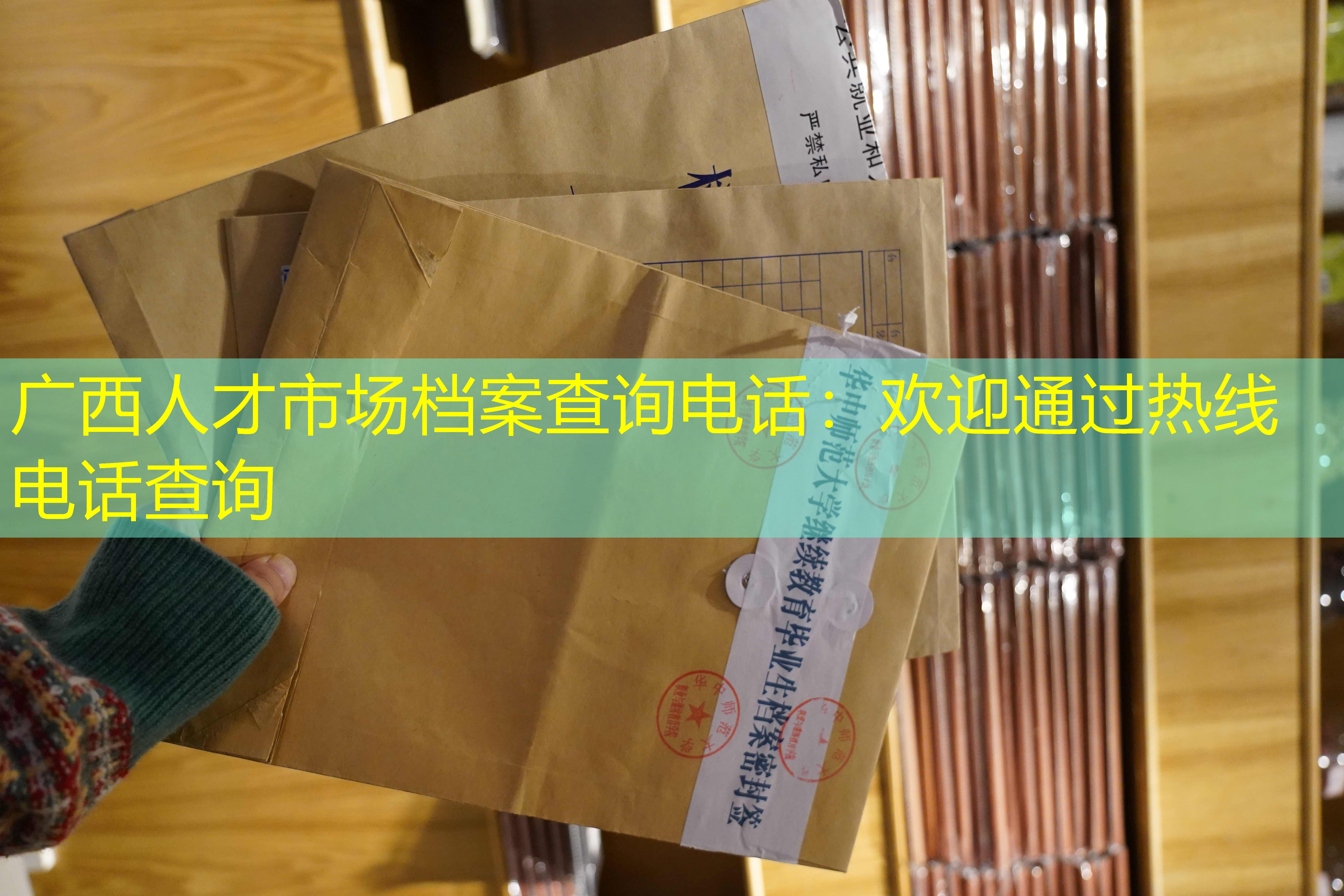 档案查询