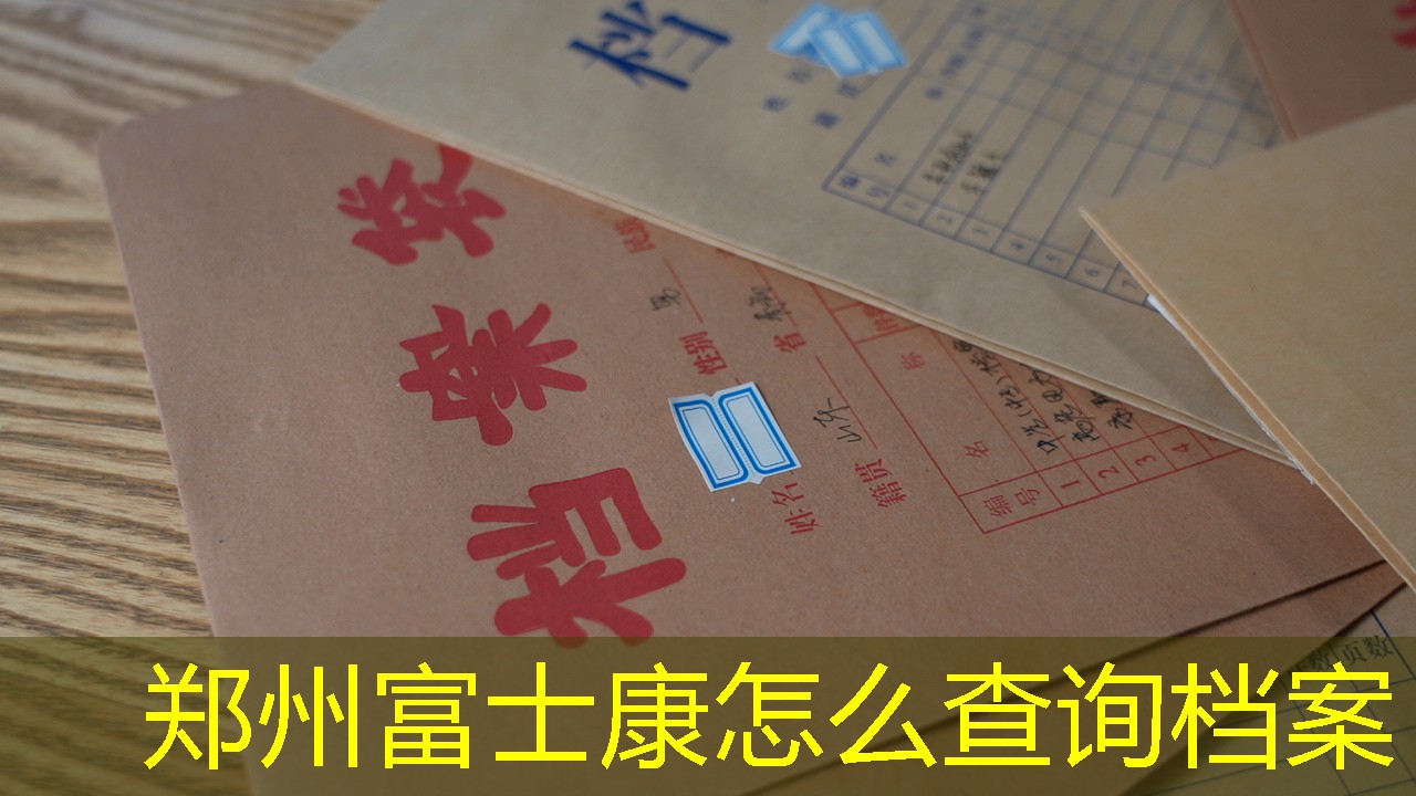 档案查询
