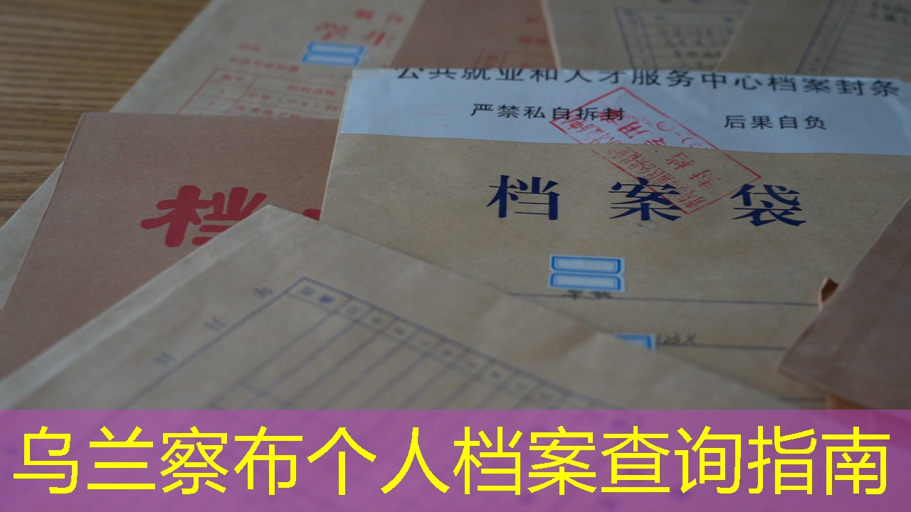 档案查询