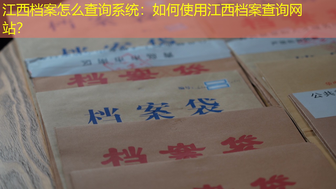 档案查询