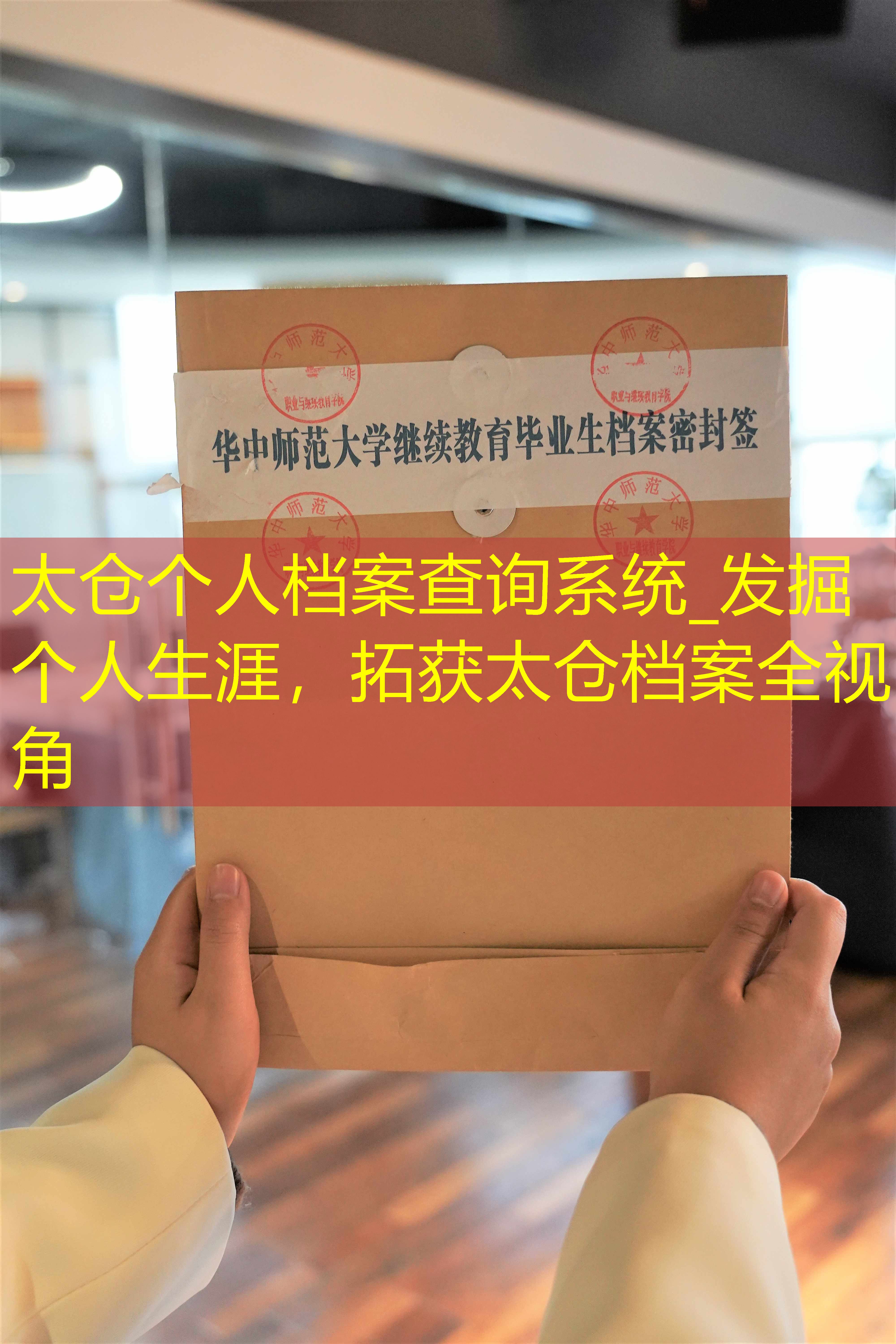 档案查询
