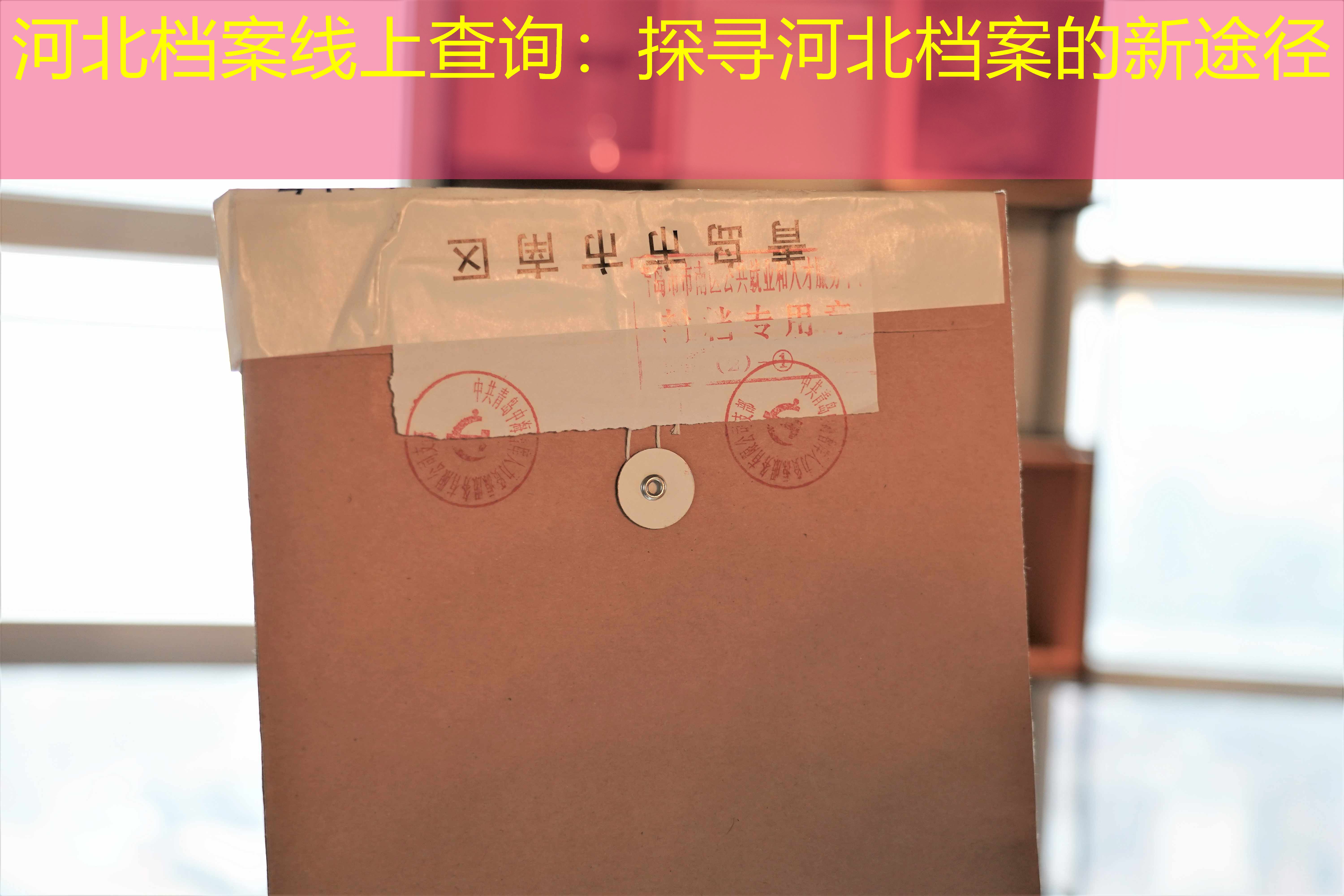 档案查询