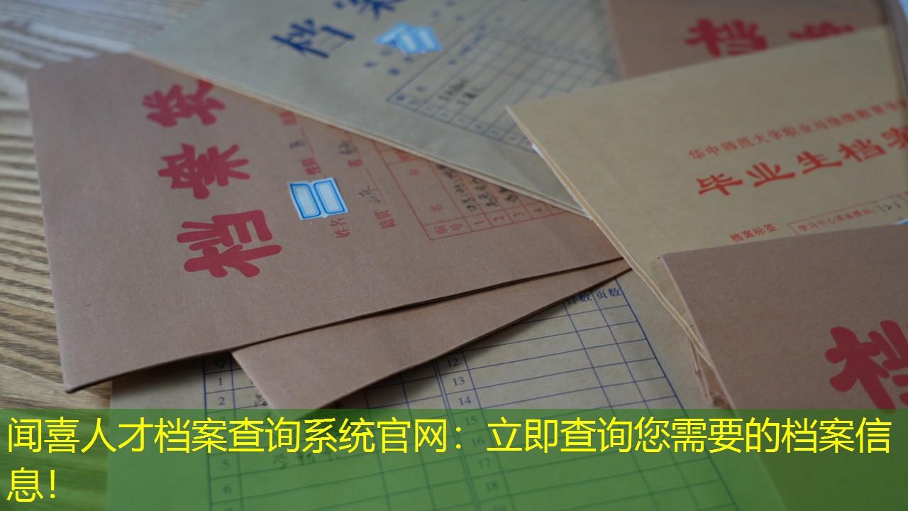 档案查询