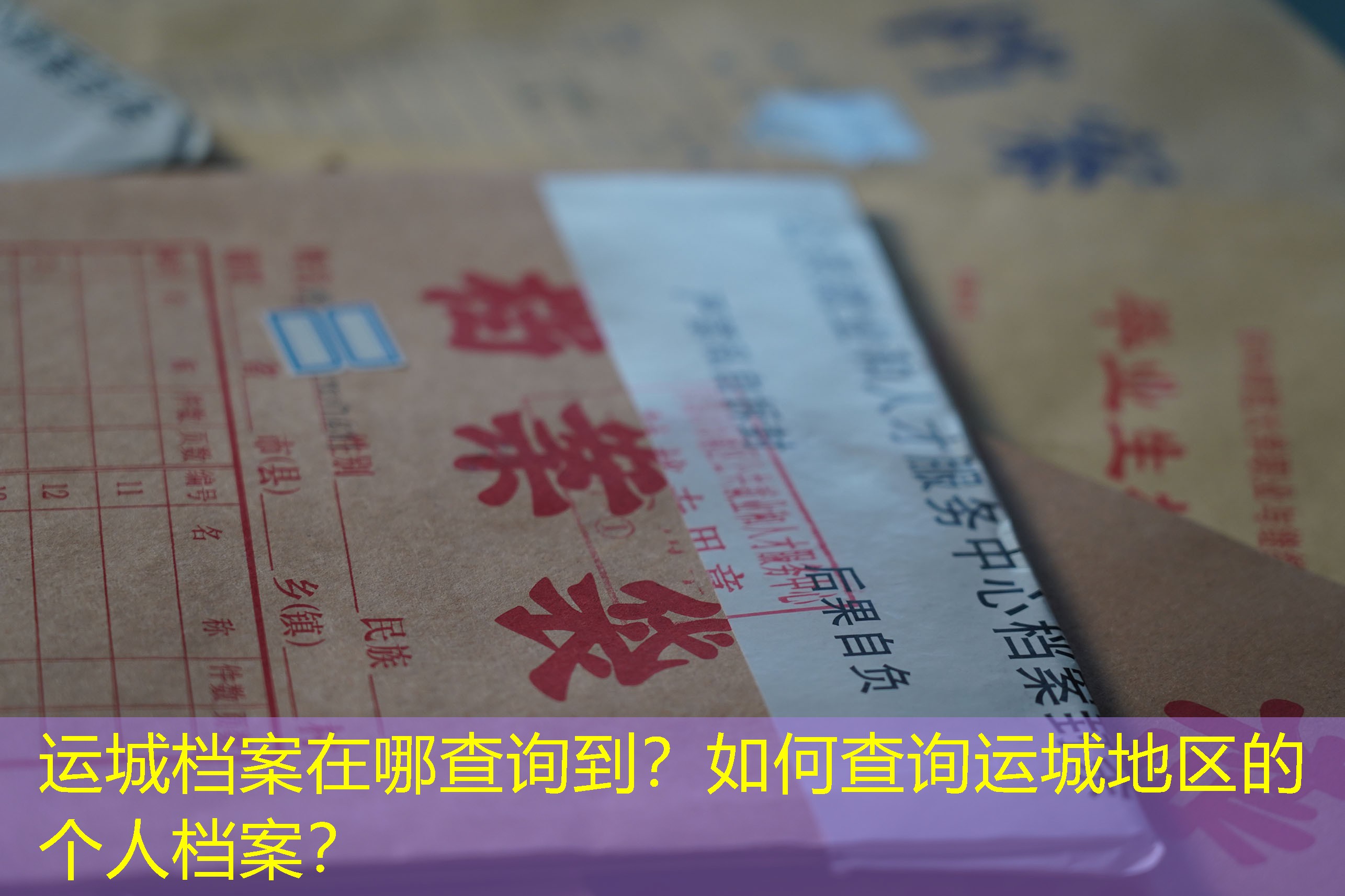 档案查询