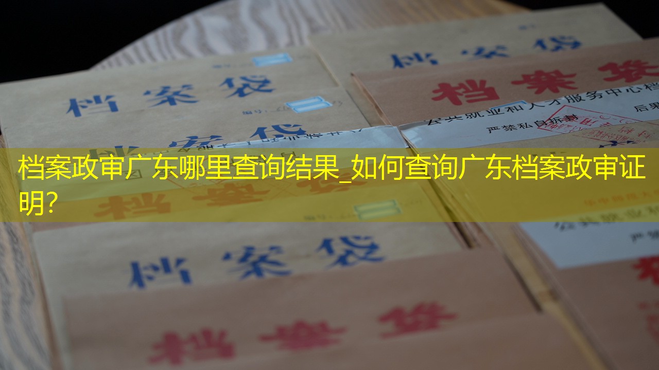 档案查询