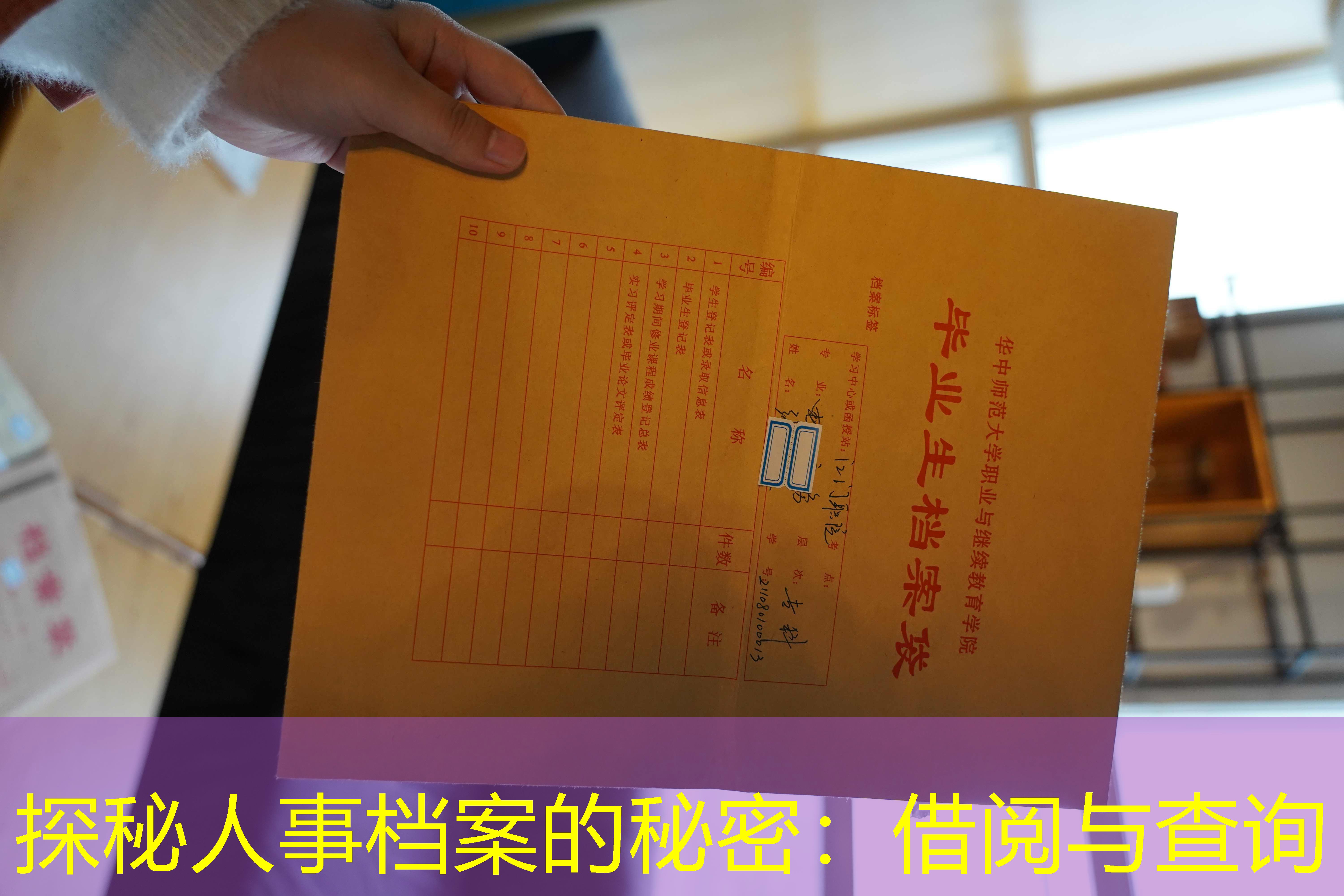档案查询