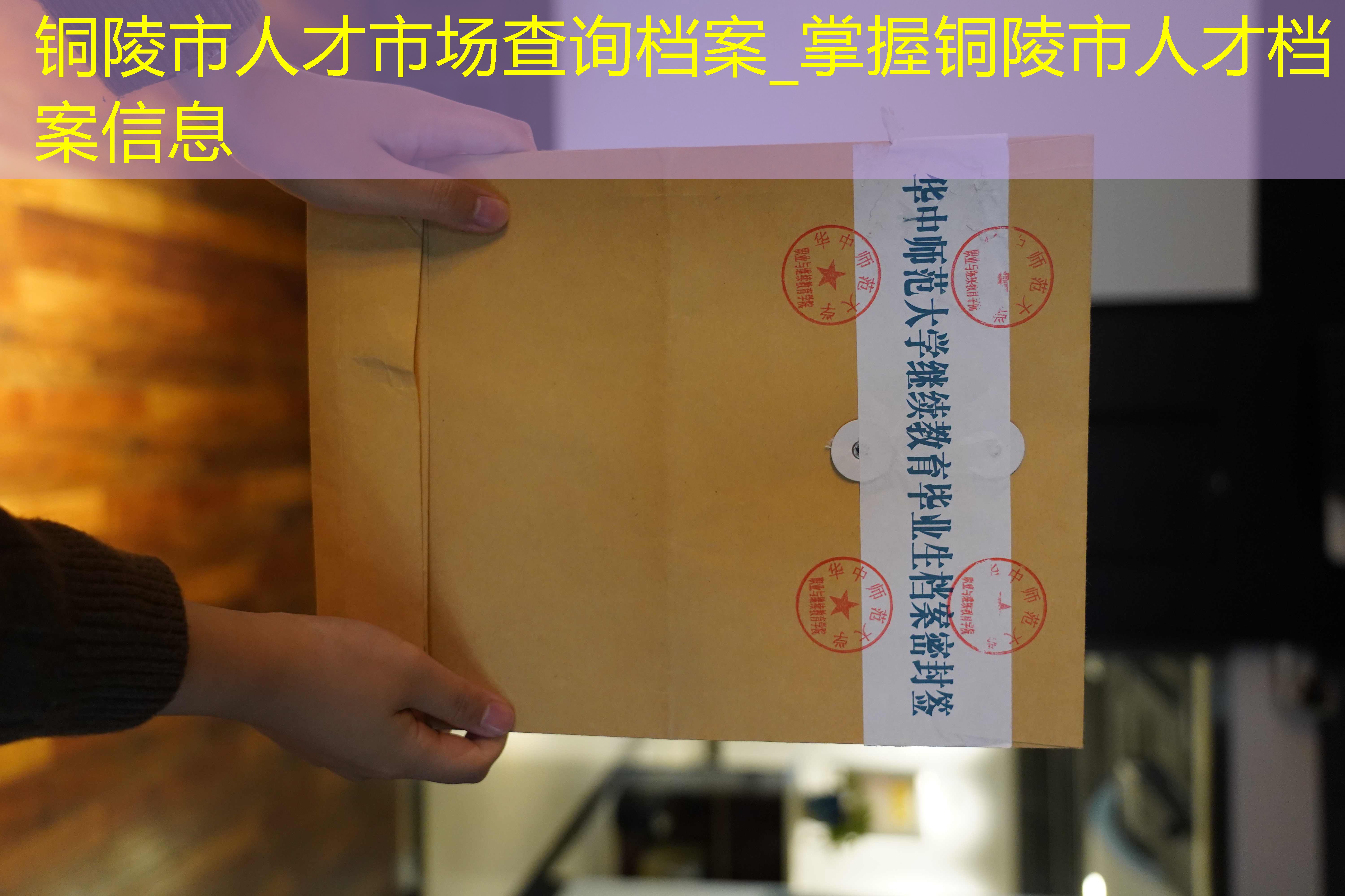 档案查询