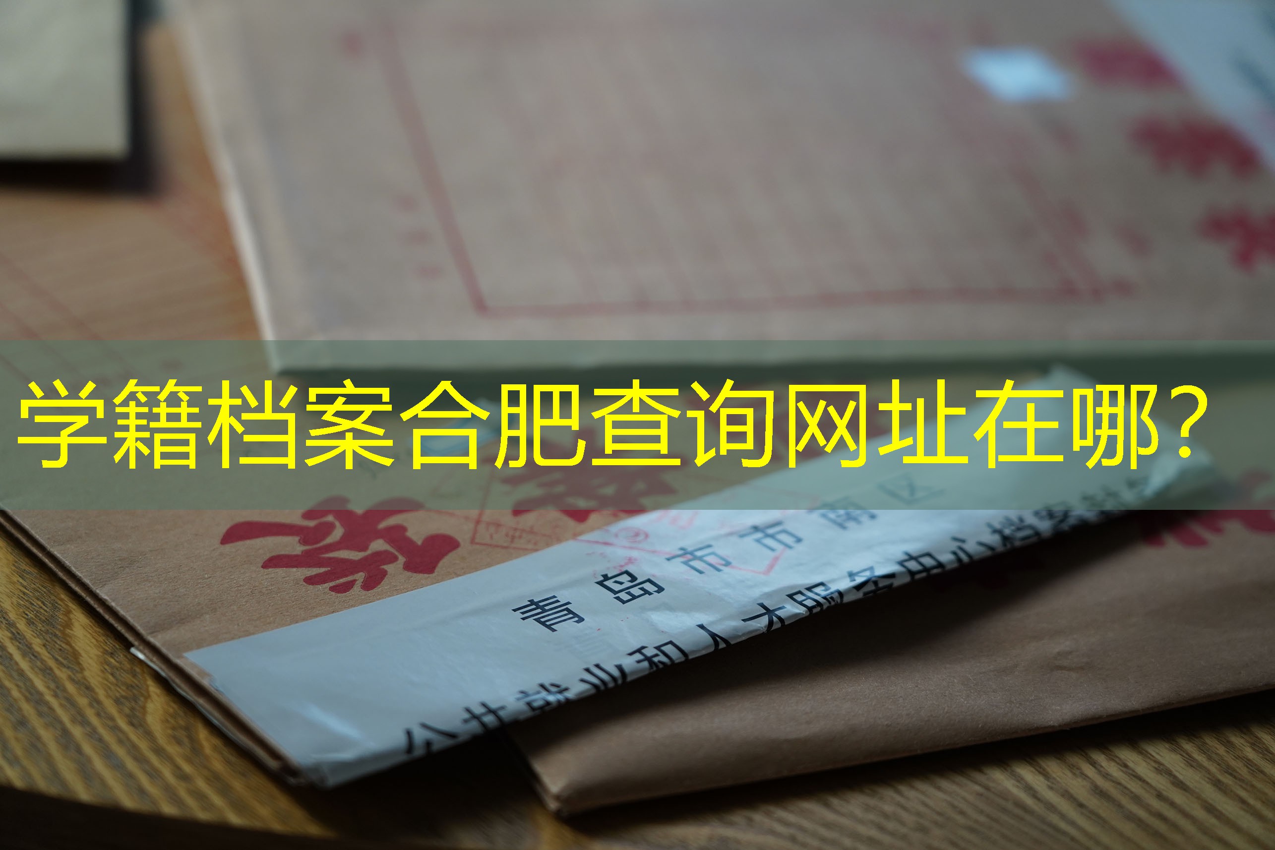 档案查询