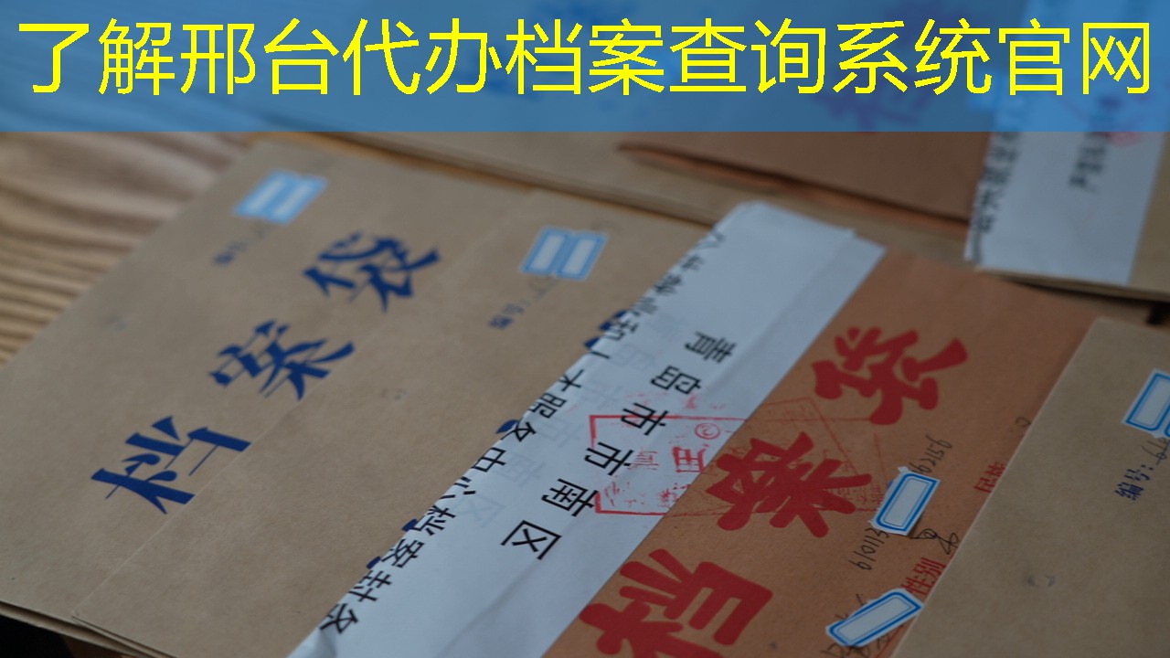 档案查询