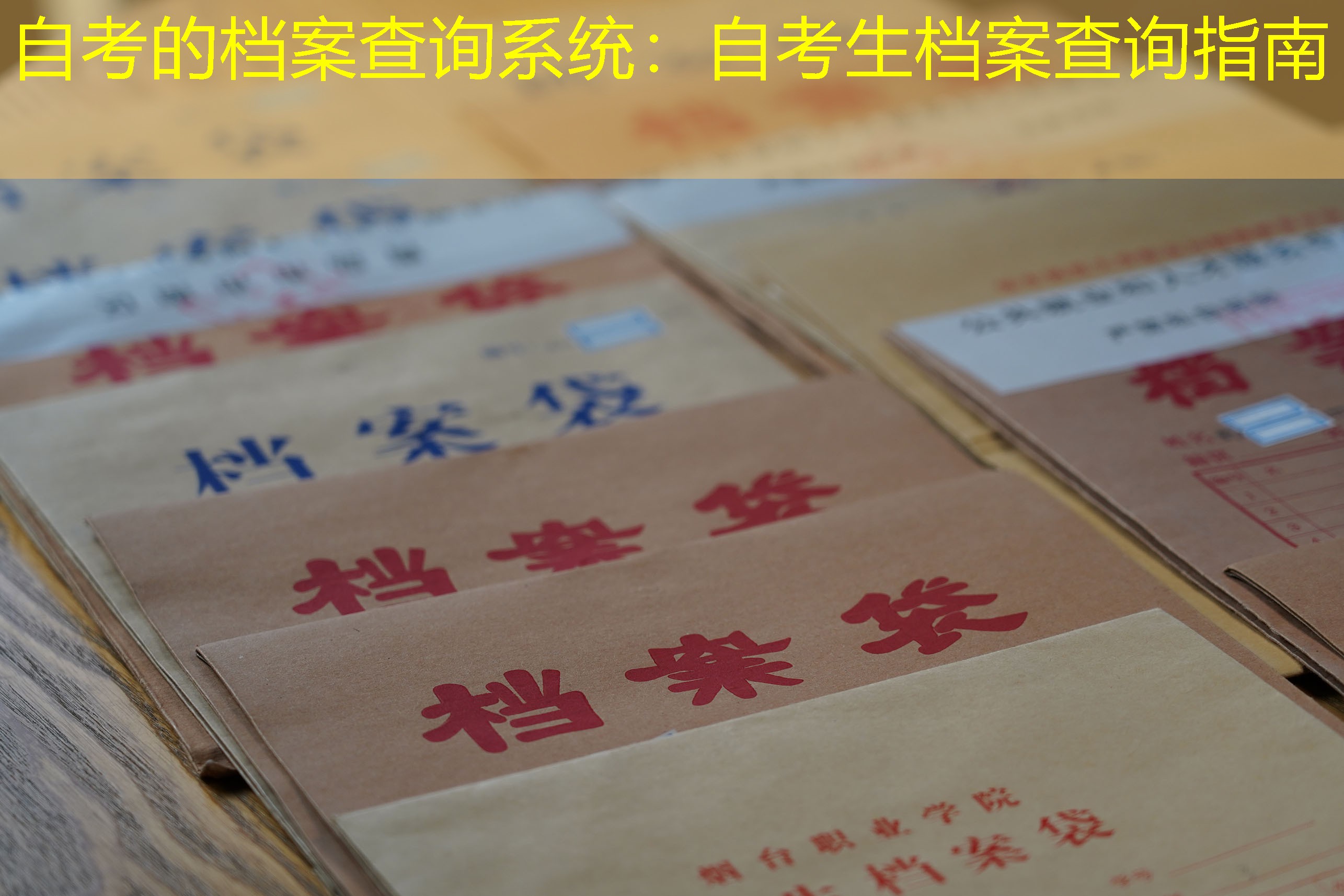 档案查询