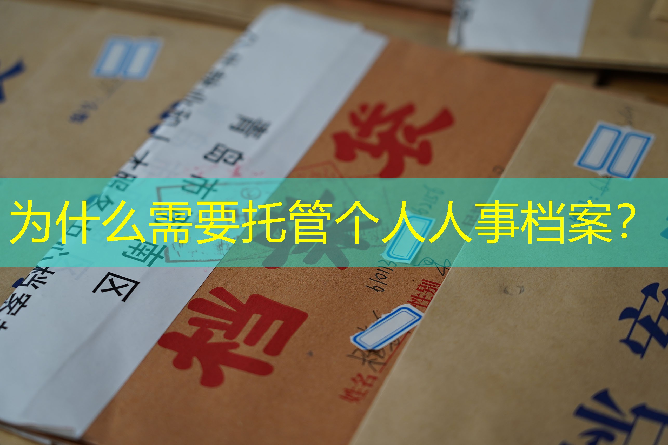档案查询