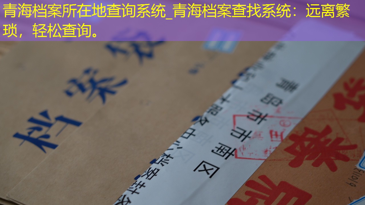档案查询