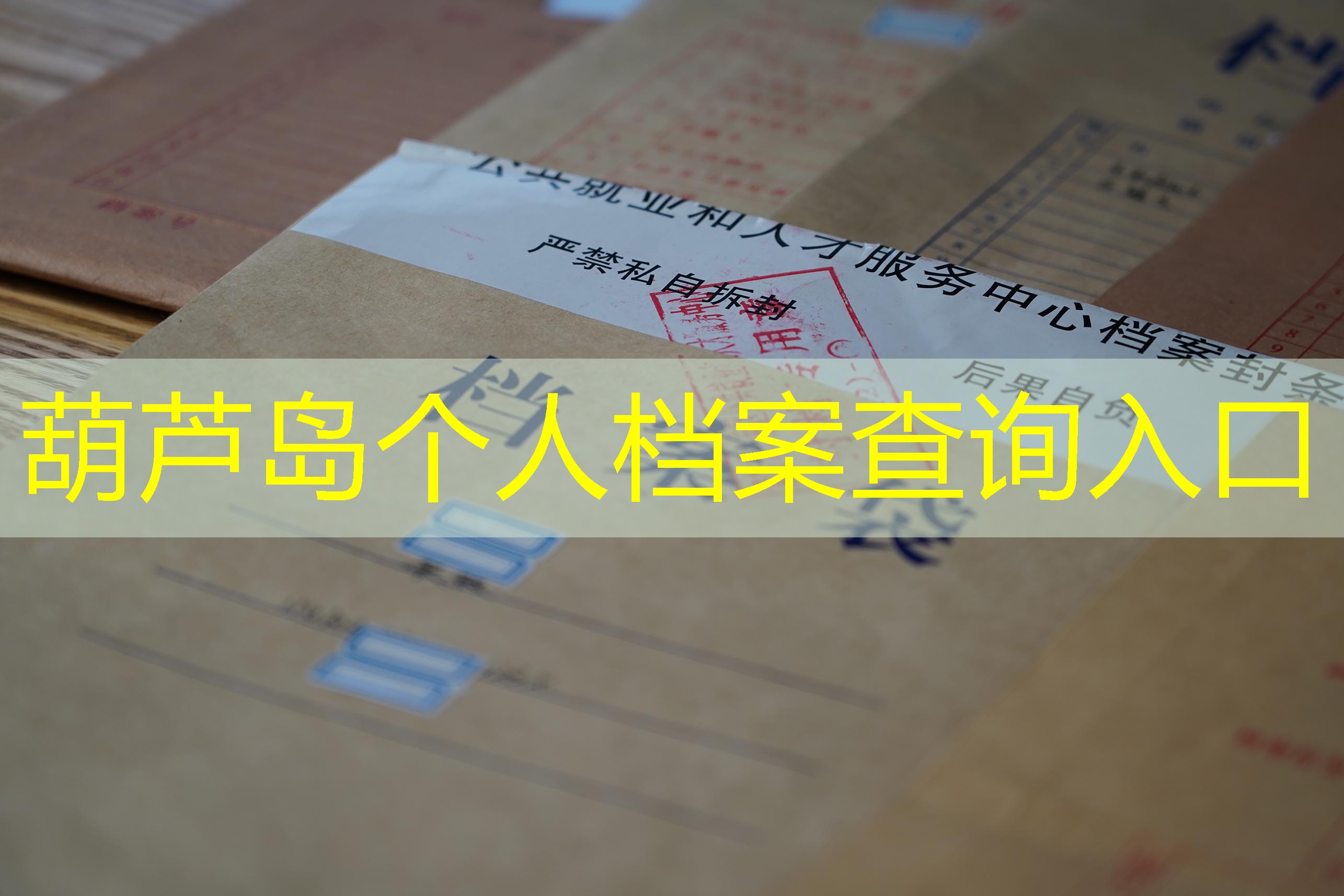 档案查询